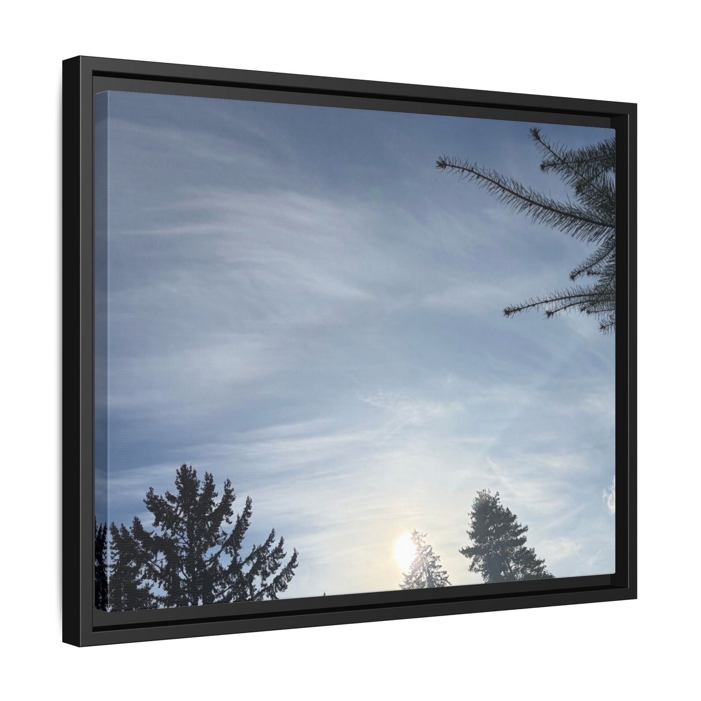 Framed Matte Canvas Wall Art — Winter Sky Tree Photograph