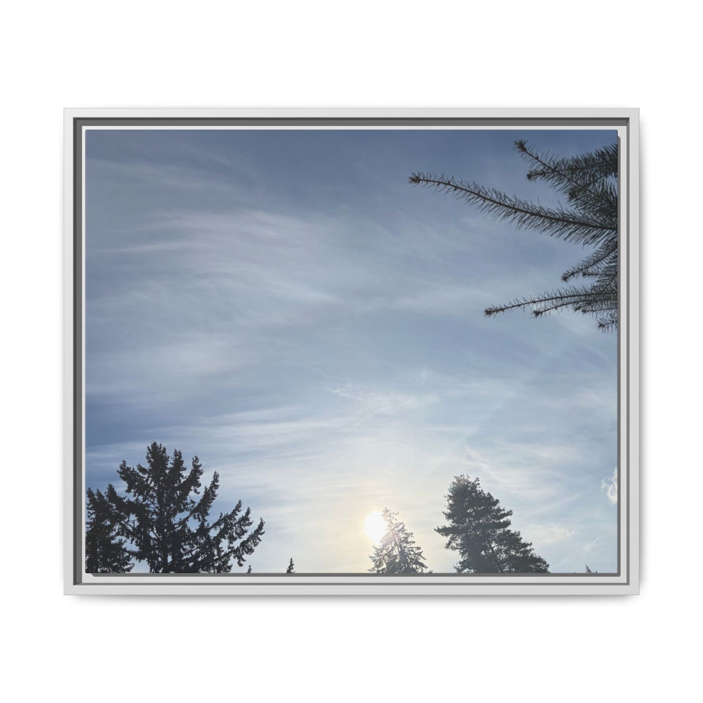 Framed Matte Canvas Wall Art — Winter Sky Tree Photograph