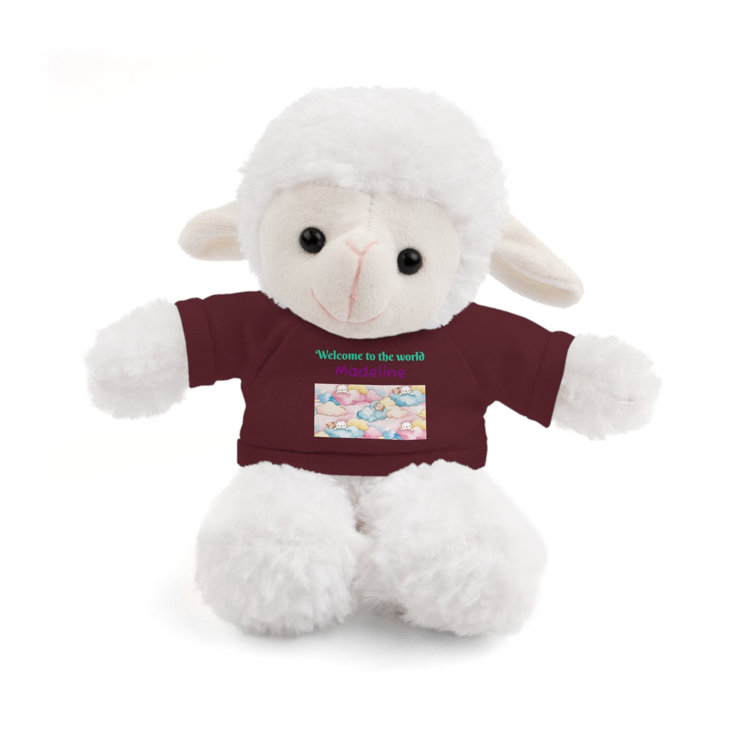 Welcome to the World Newborn Baby Teddy with 'Welcome to the world' Tee