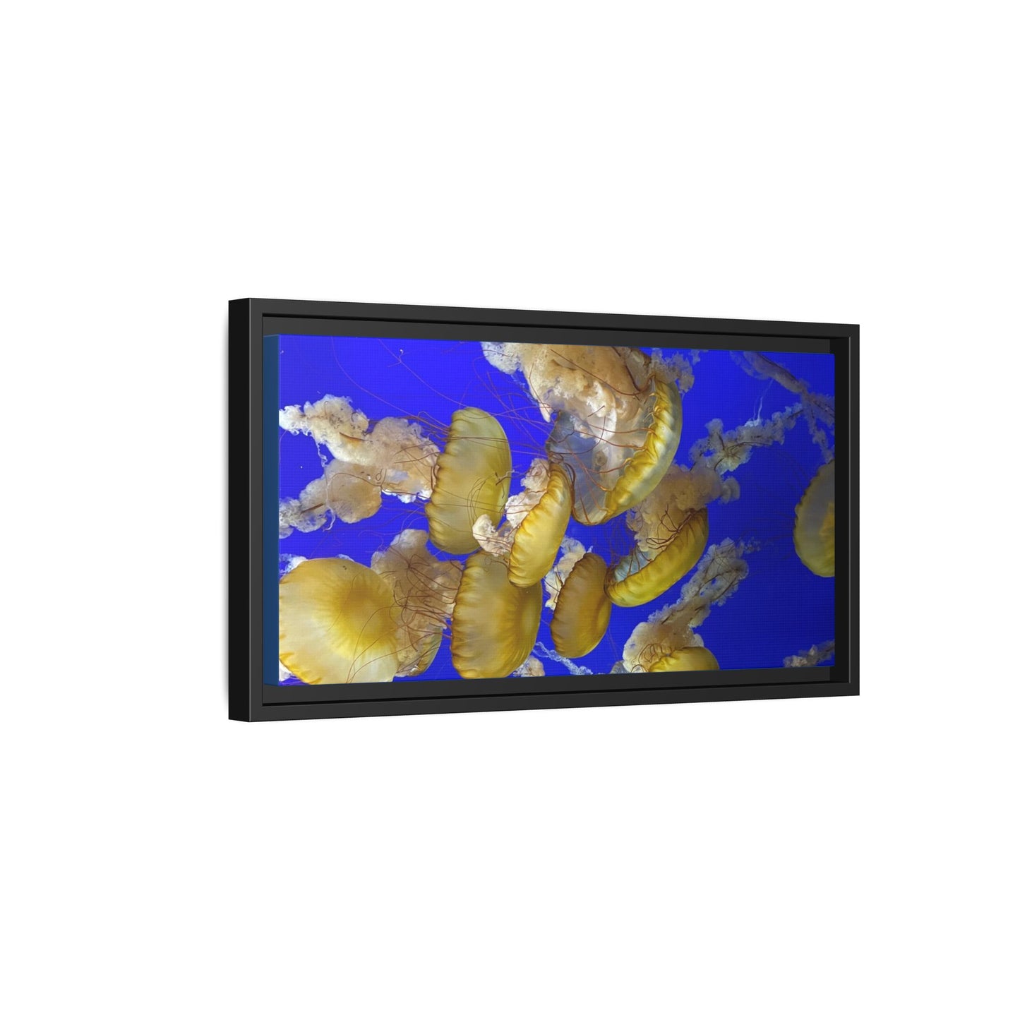Framed Jellyfish Canvas Print — Golden Jellyfish on Deep Blue Matte