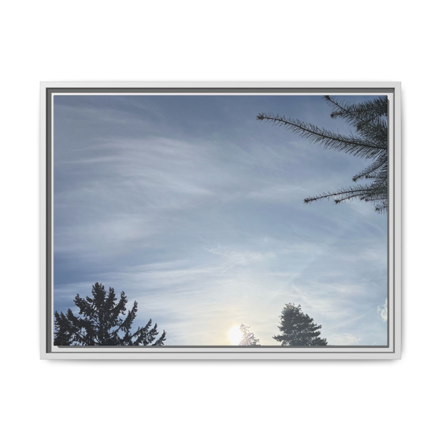 Framed Matte Canvas Wall Art — Winter Sky Tree Photograph
