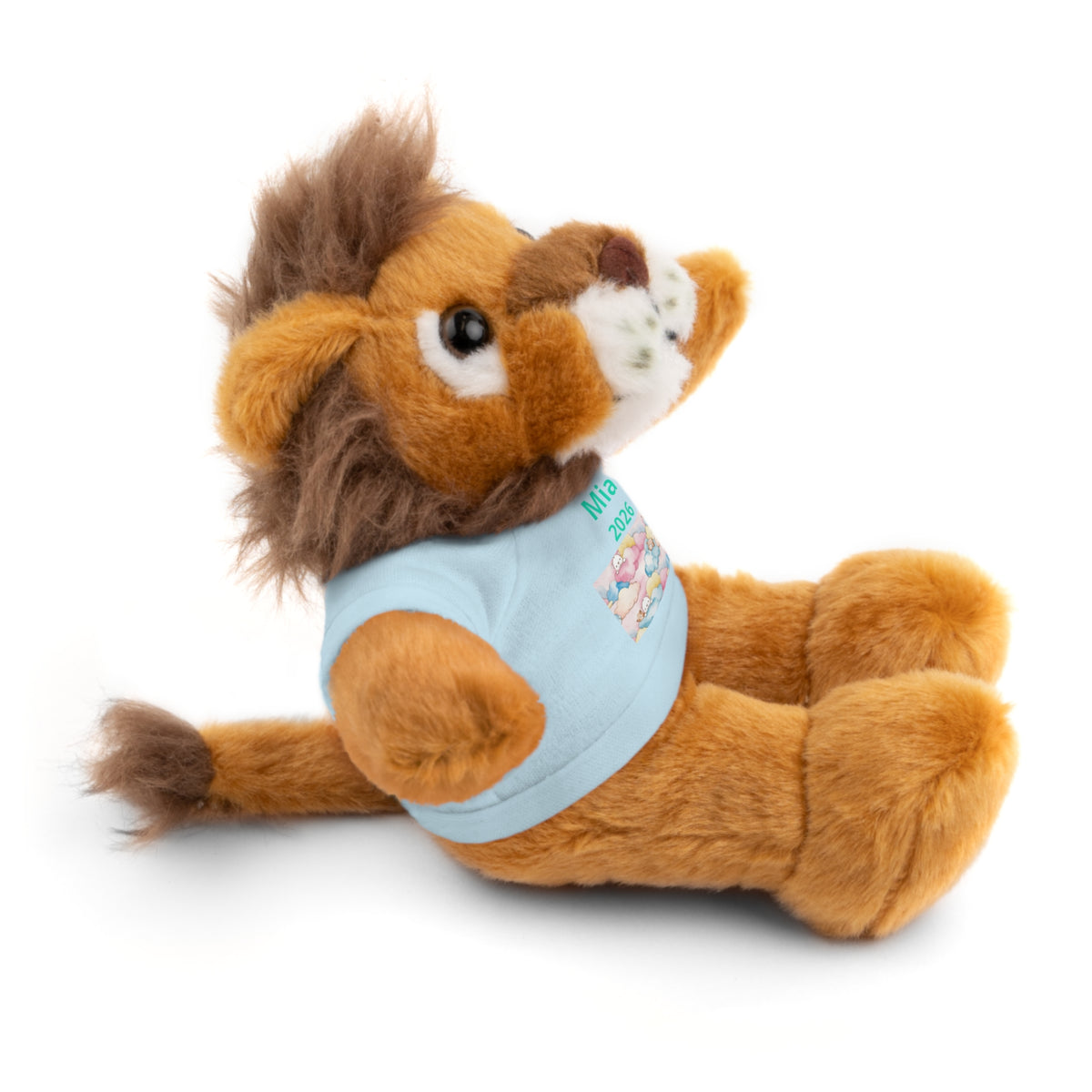 Personalized Plush Bear with Custom Tee — Cute Candy Print & Name