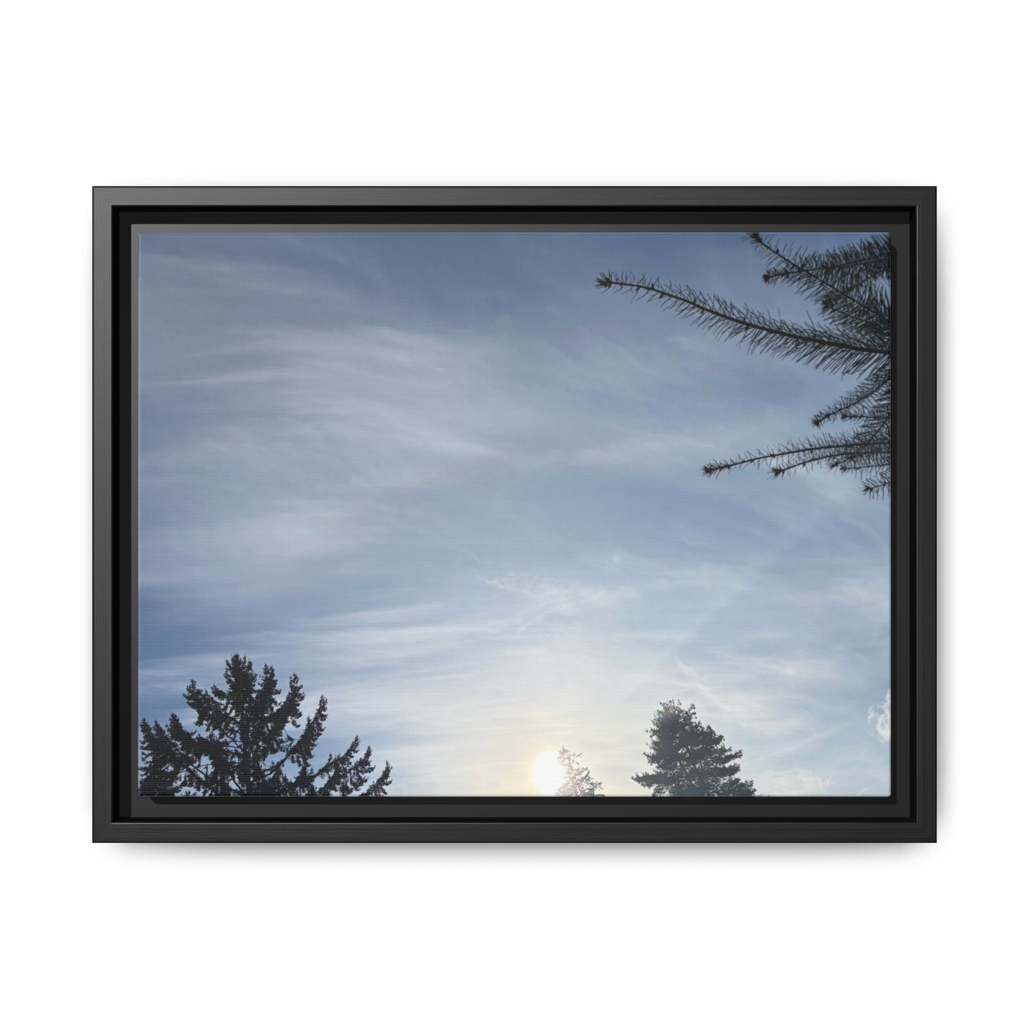 Framed Matte Canvas Wall Art — Winter Sky Tree Photograph