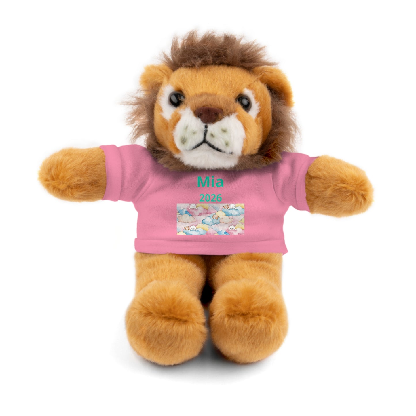 Personalized Plush Bear with Custom Tee — Cute Candy Print & Name