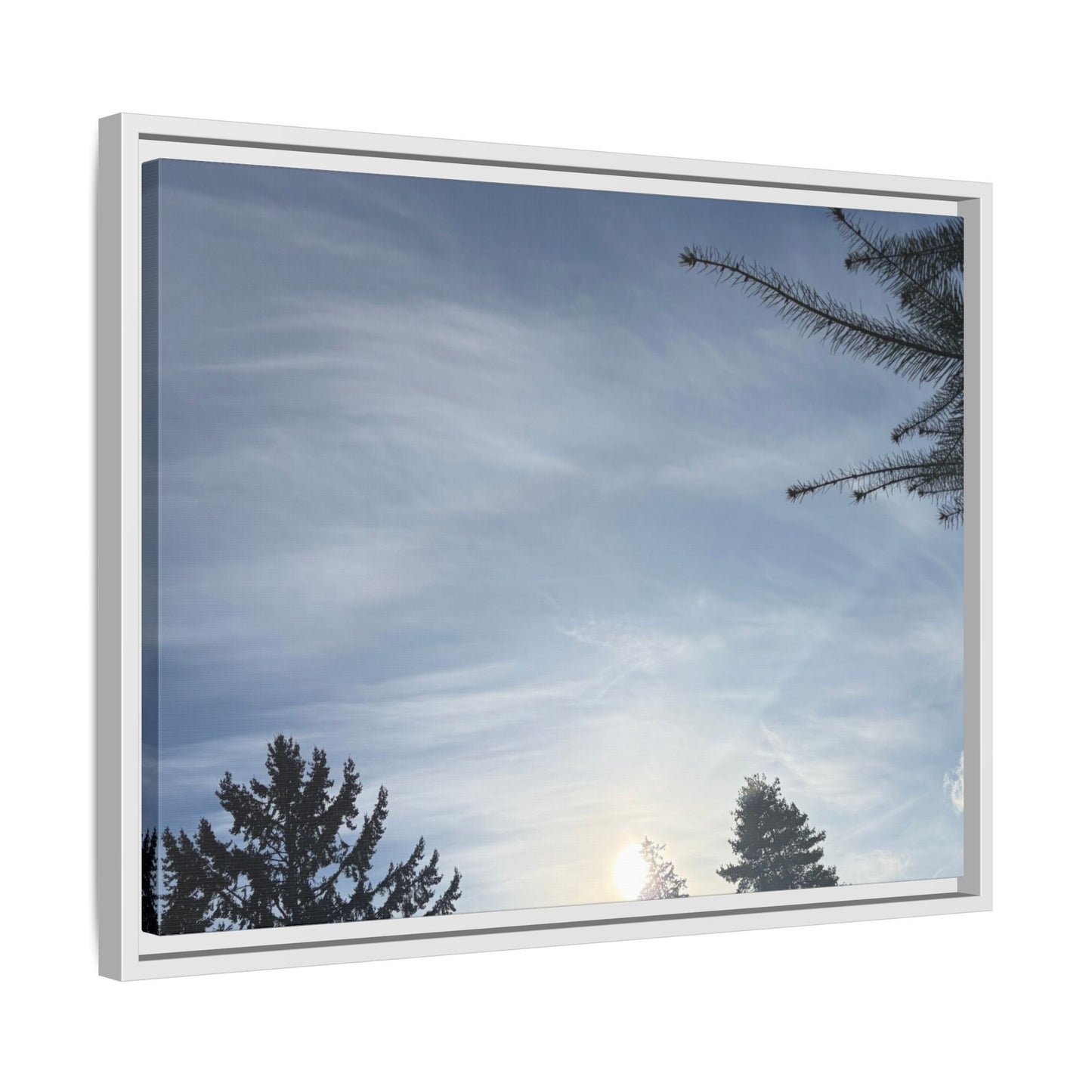 Framed Matte Canvas Wall Art — Winter Sky Tree Photograph