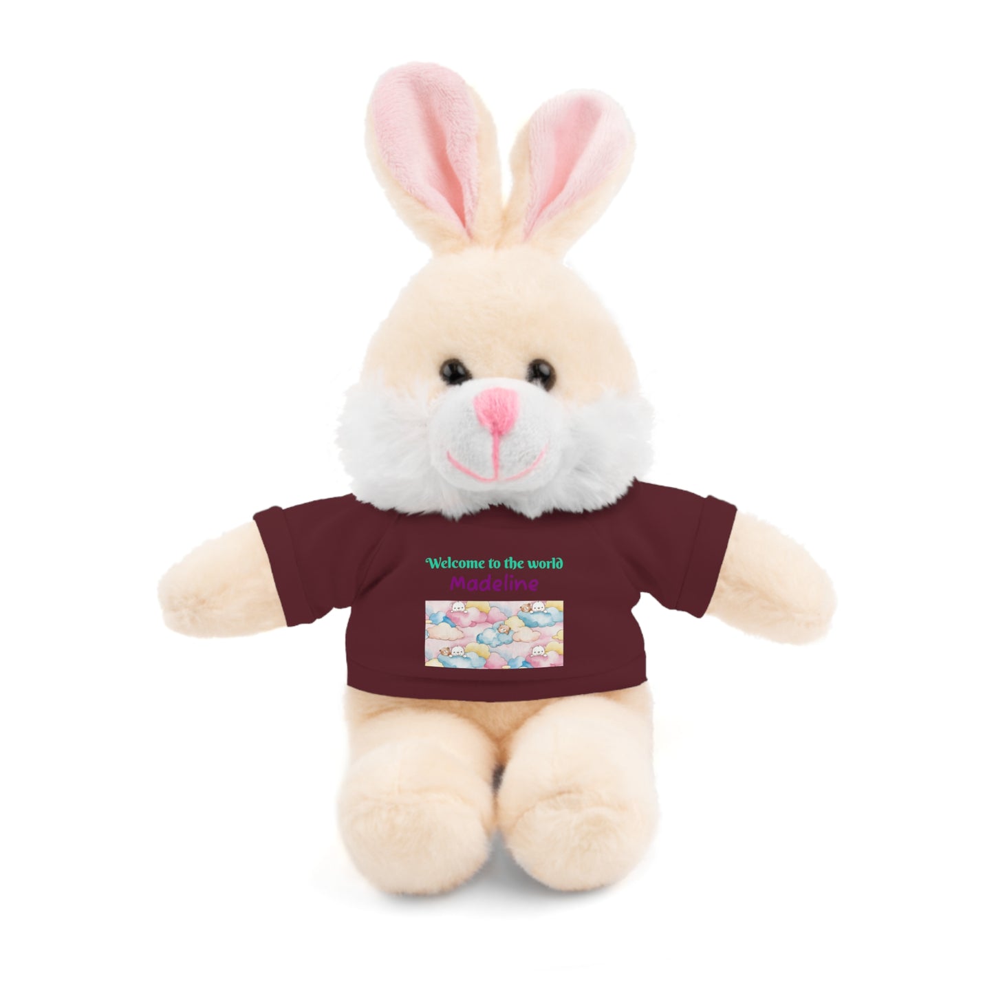 Welcome to the World Newborn Baby Teddy with 'Welcome to the world' Tee
