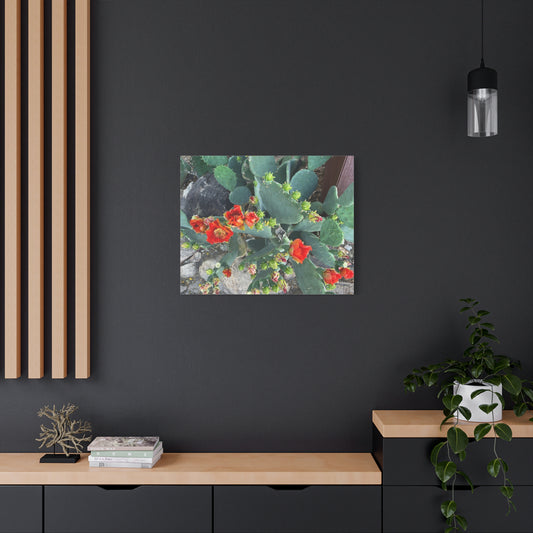Canvas Print - Cactus Theme