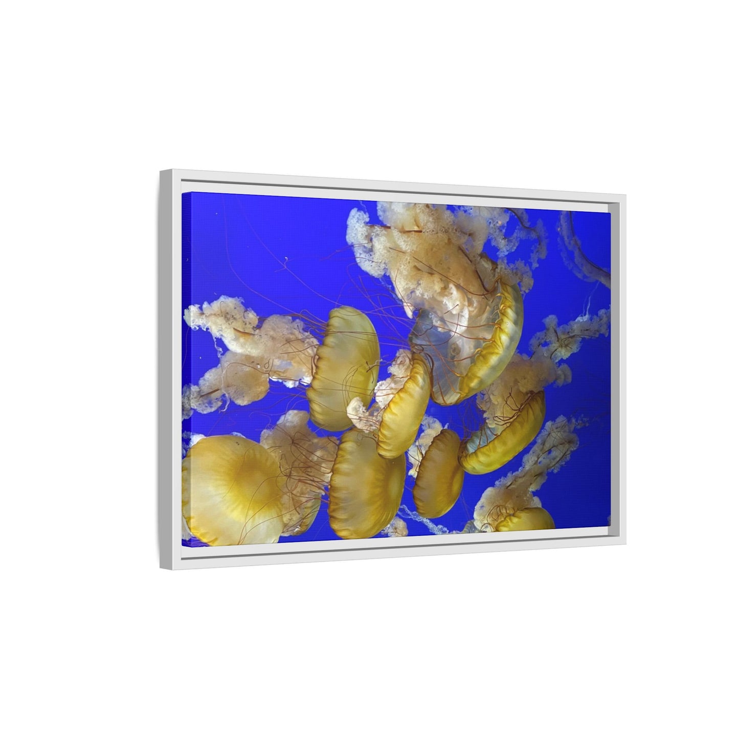 Canvas Wall Art - Jellyfish Theme