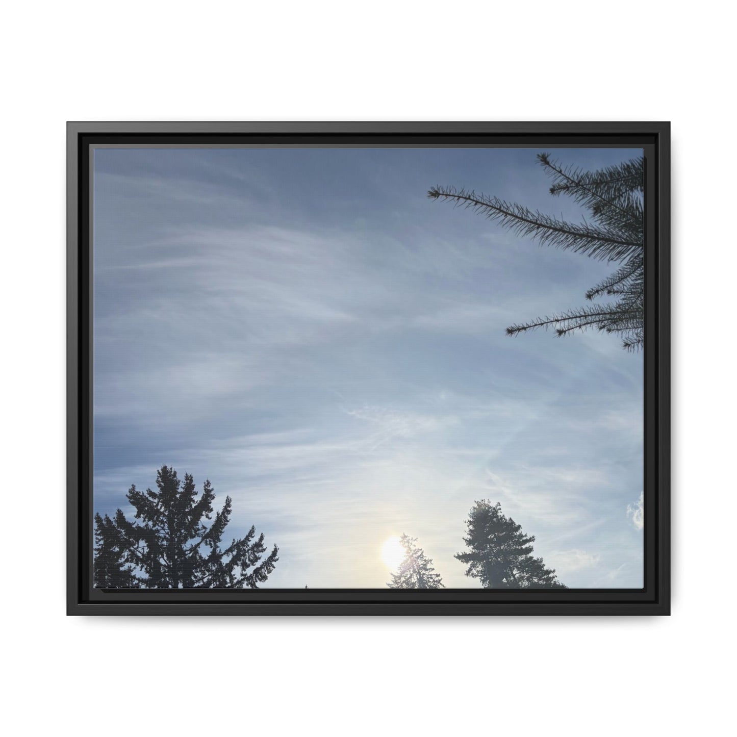 Framed Matte Canvas Wall Art — Winter Sky Tree Photograph