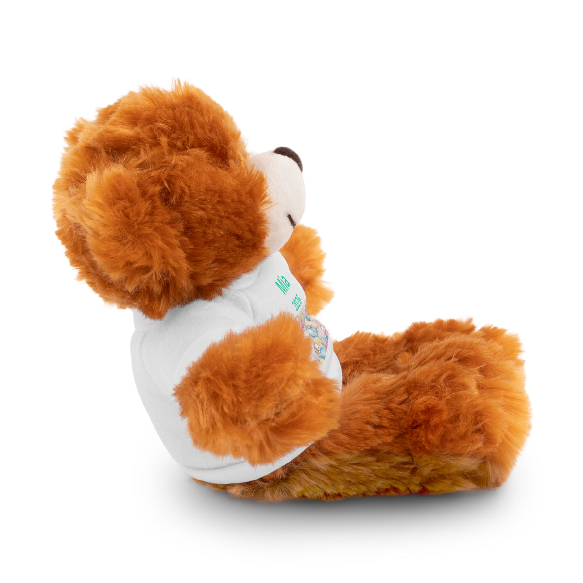 Personalized Plush Bear with Custom Tee — Cute Candy Print & Name