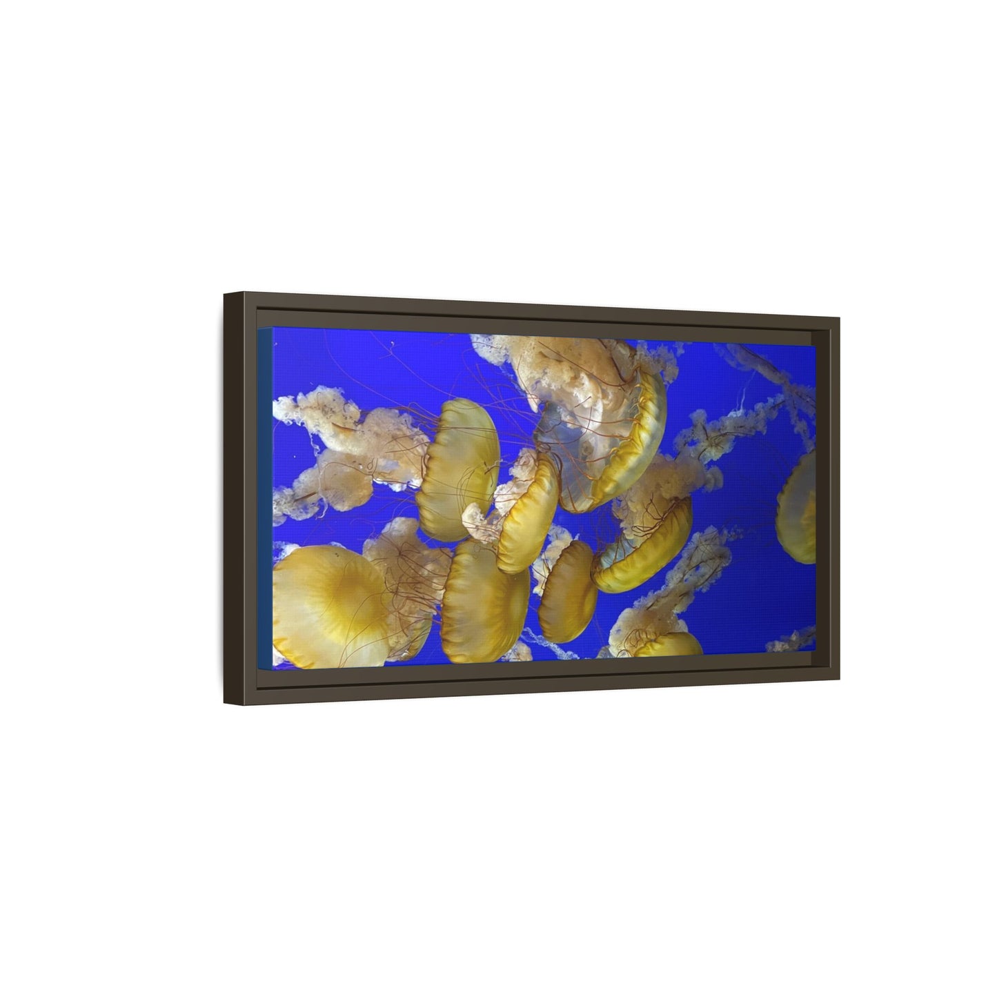 Framed Jellyfish Canvas Print — Golden Jellyfish on Deep Blue Matte