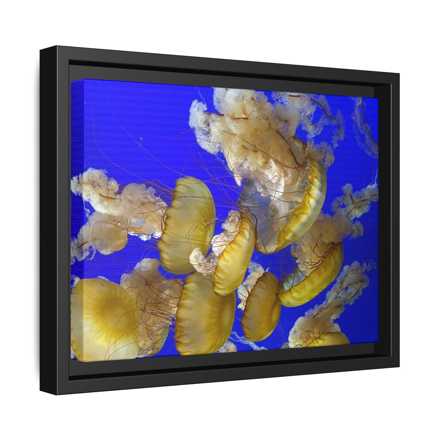 Canvas Wall Art - Jellyfish Theme