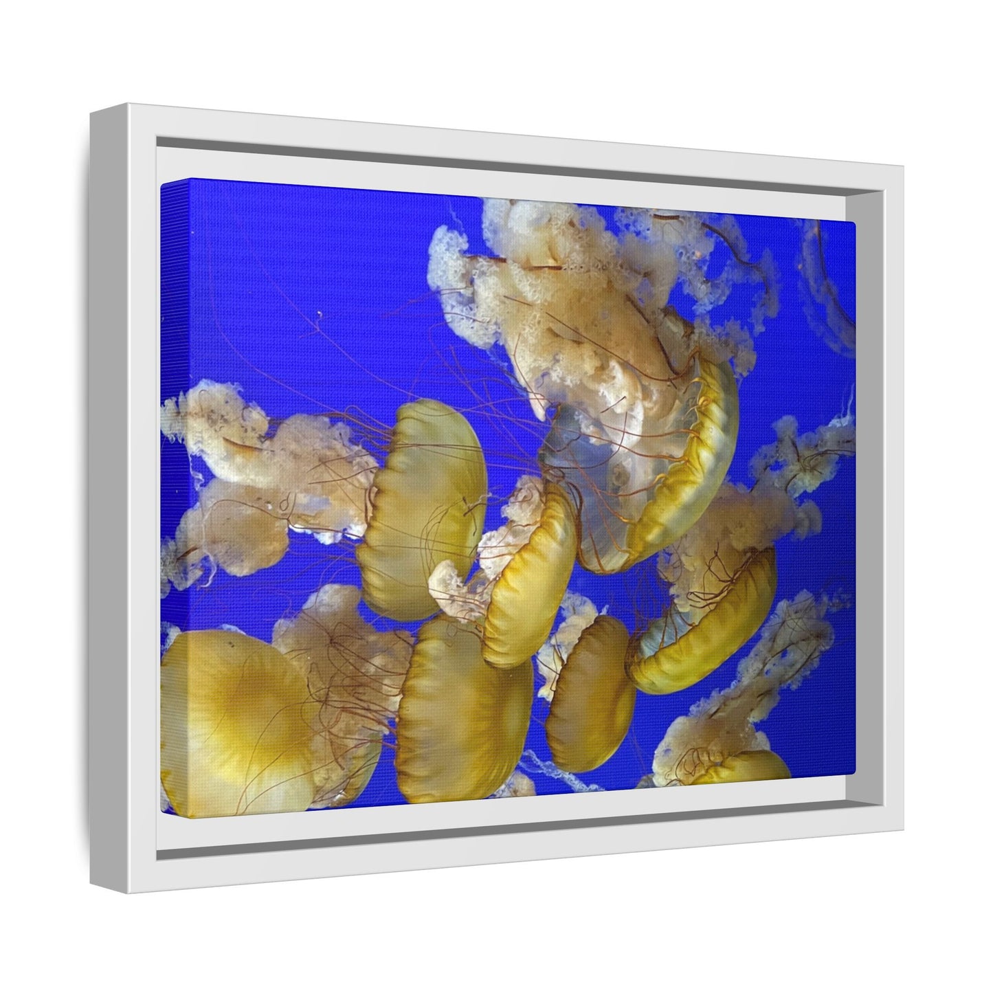 Canvas Wall Art - Jellyfish Theme