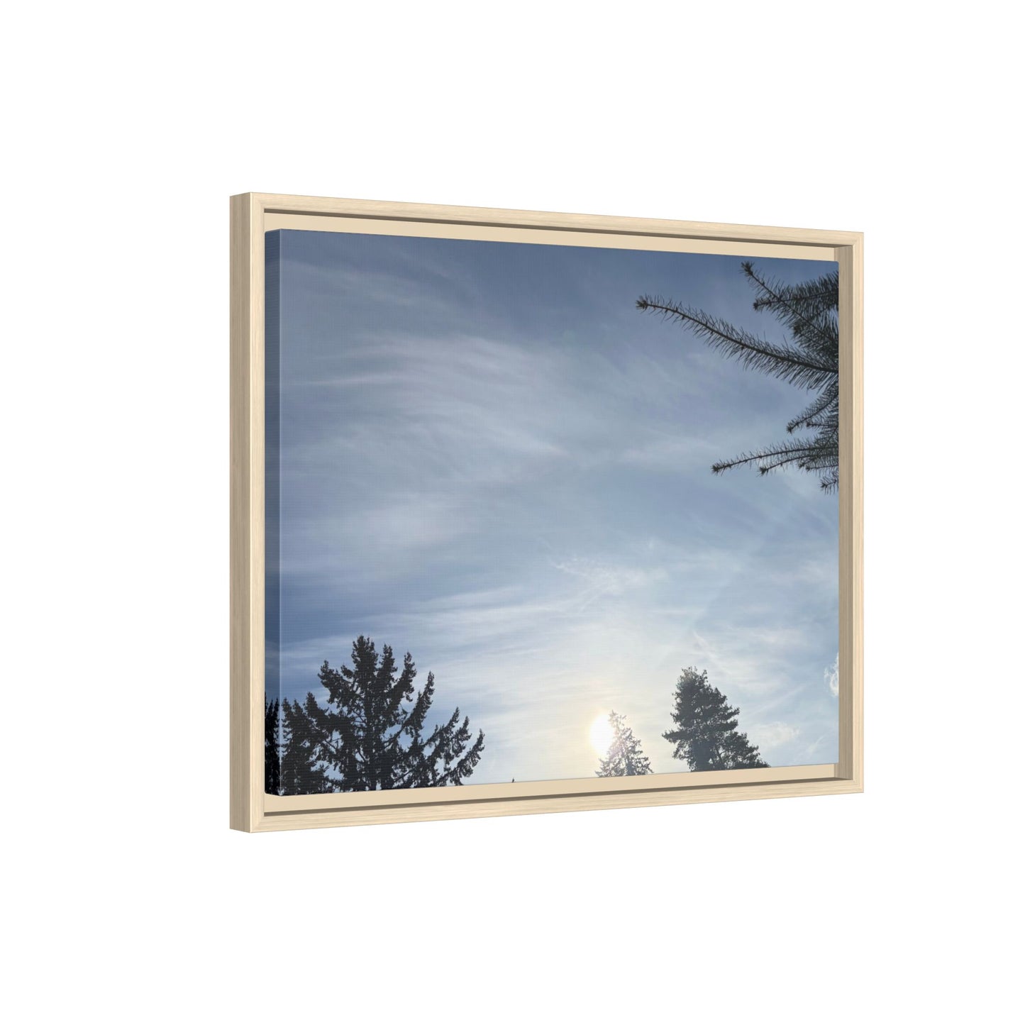 Framed Matte Canvas Wall Art — Winter Sky Tree Photograph