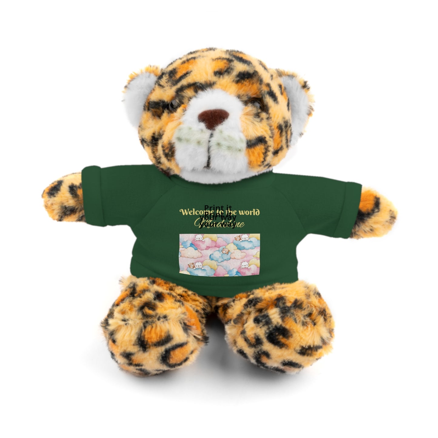 Welcome to the World Newborn Baby Teddy with 'Welcome to the world' Tee