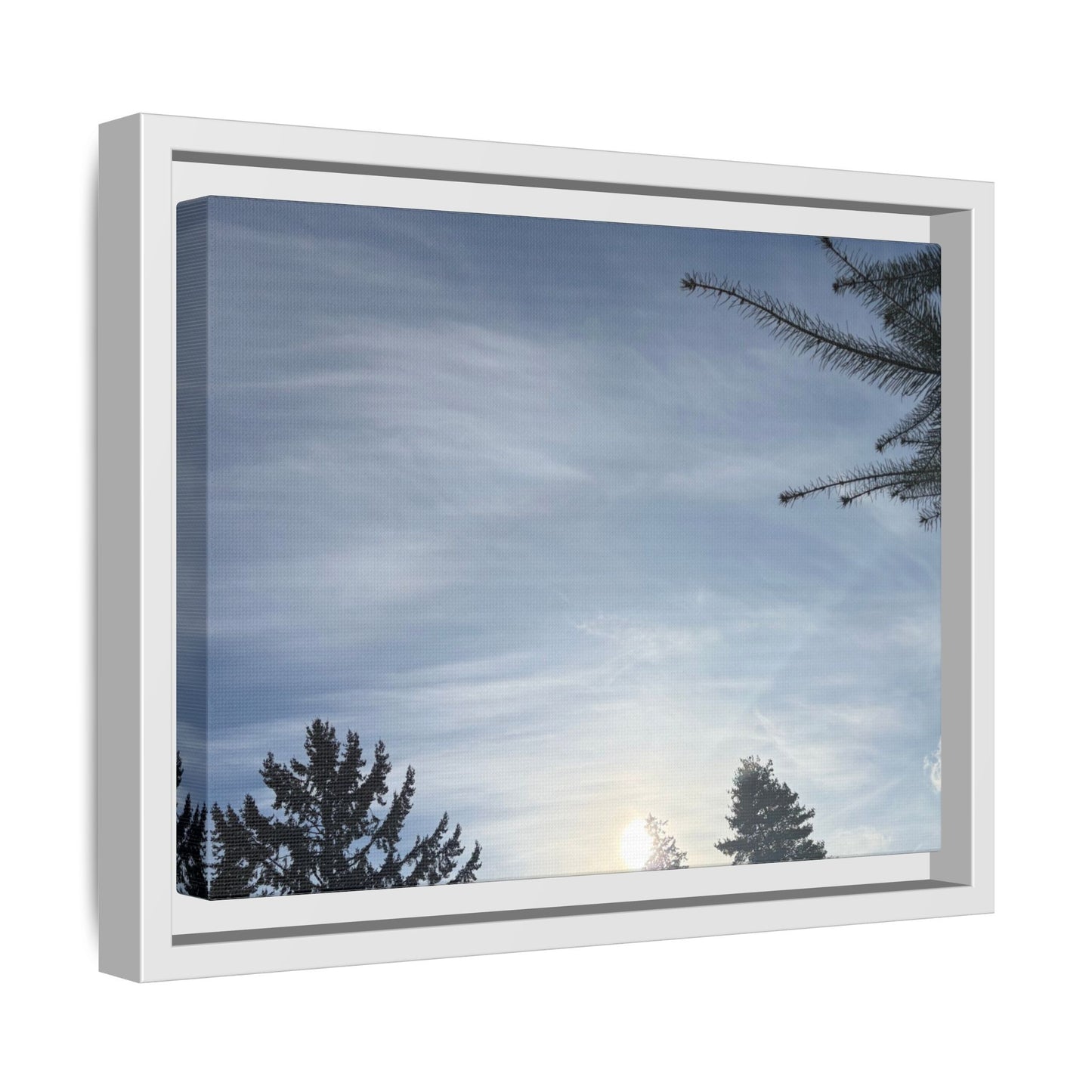 Framed Matte Canvas Wall Art — Winter Sky Tree Photograph