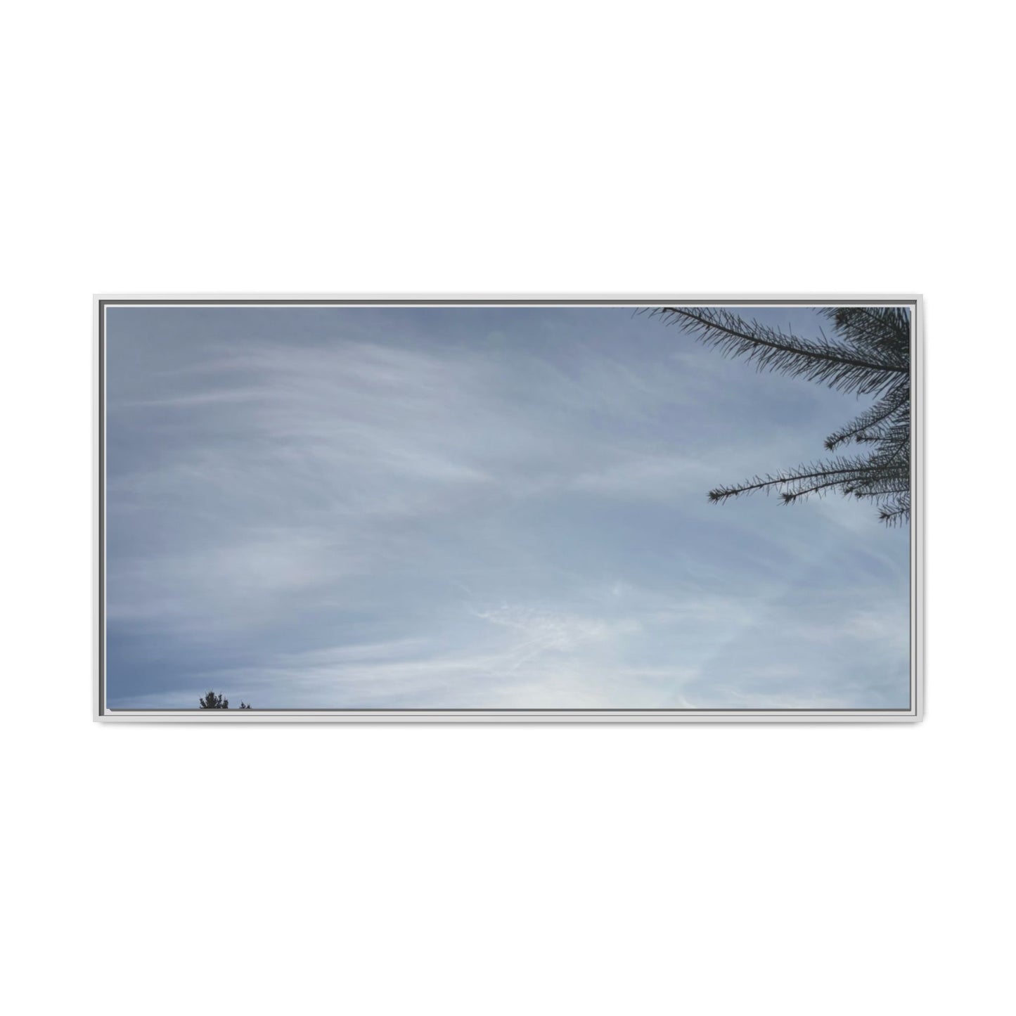 Framed Matte Canvas Wall Art — Winter Sky Tree Photograph