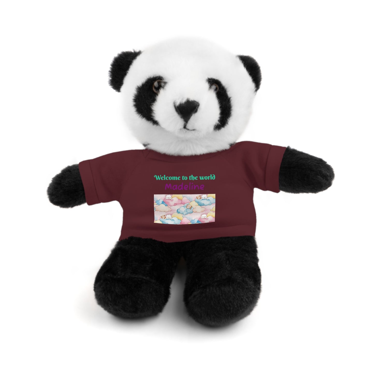 Welcome to the World Newborn Baby Teddy with 'Welcome to the world' Tee