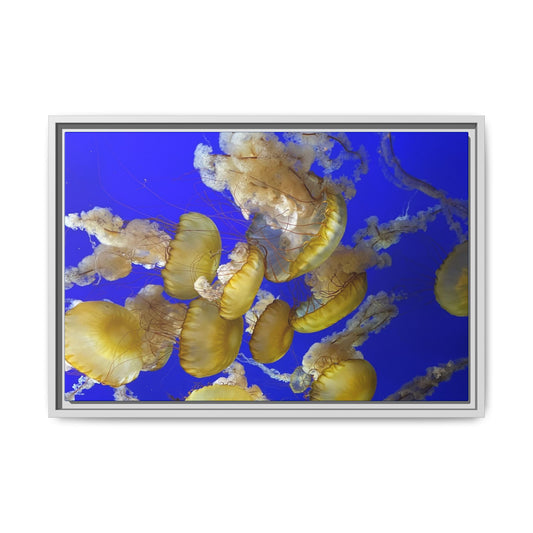 Framed Jellyfish Canvas Print — Golden Jellyfish on Deep Blue Matte