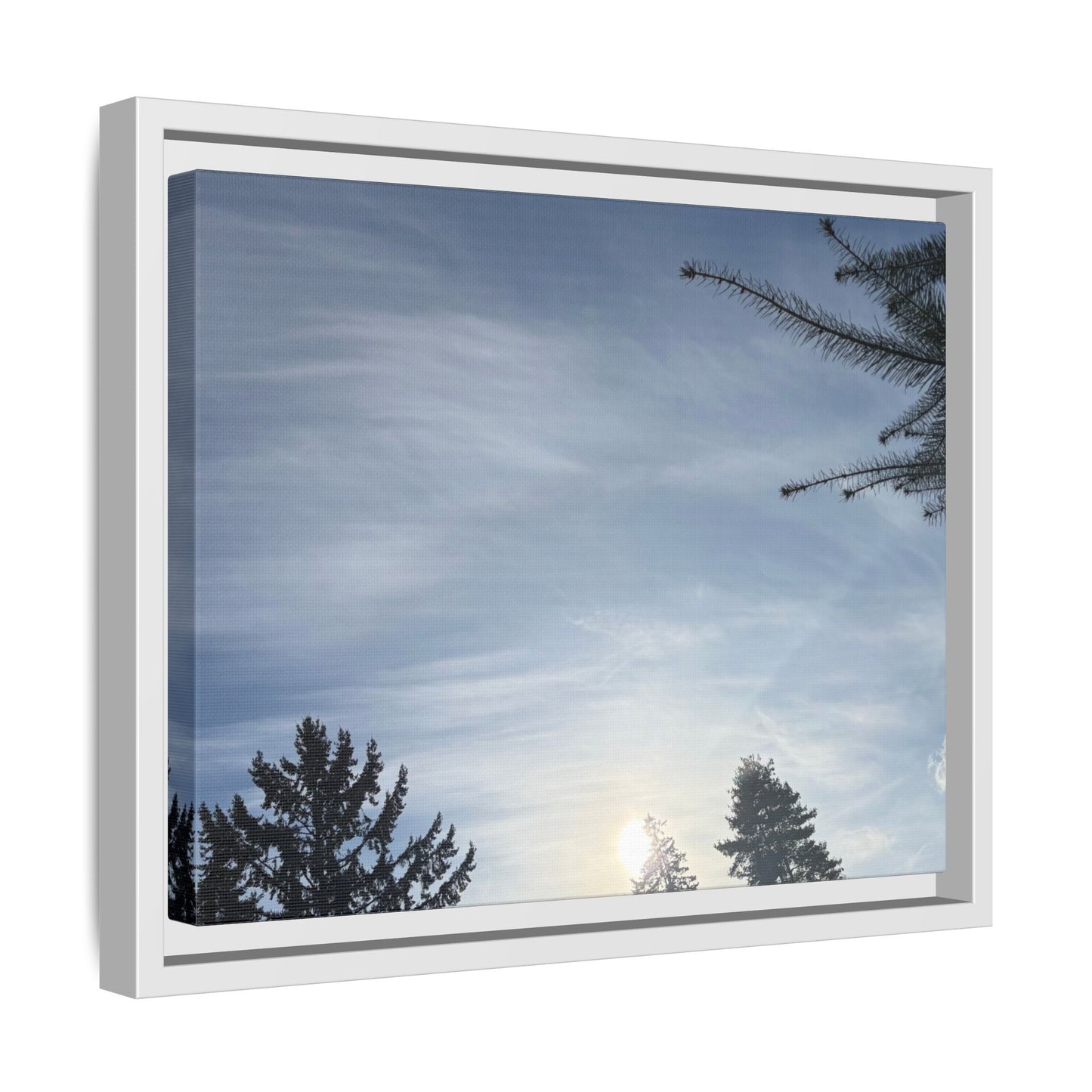 Framed Matte Canvas Wall Art — Winter Sky Tree Photograph