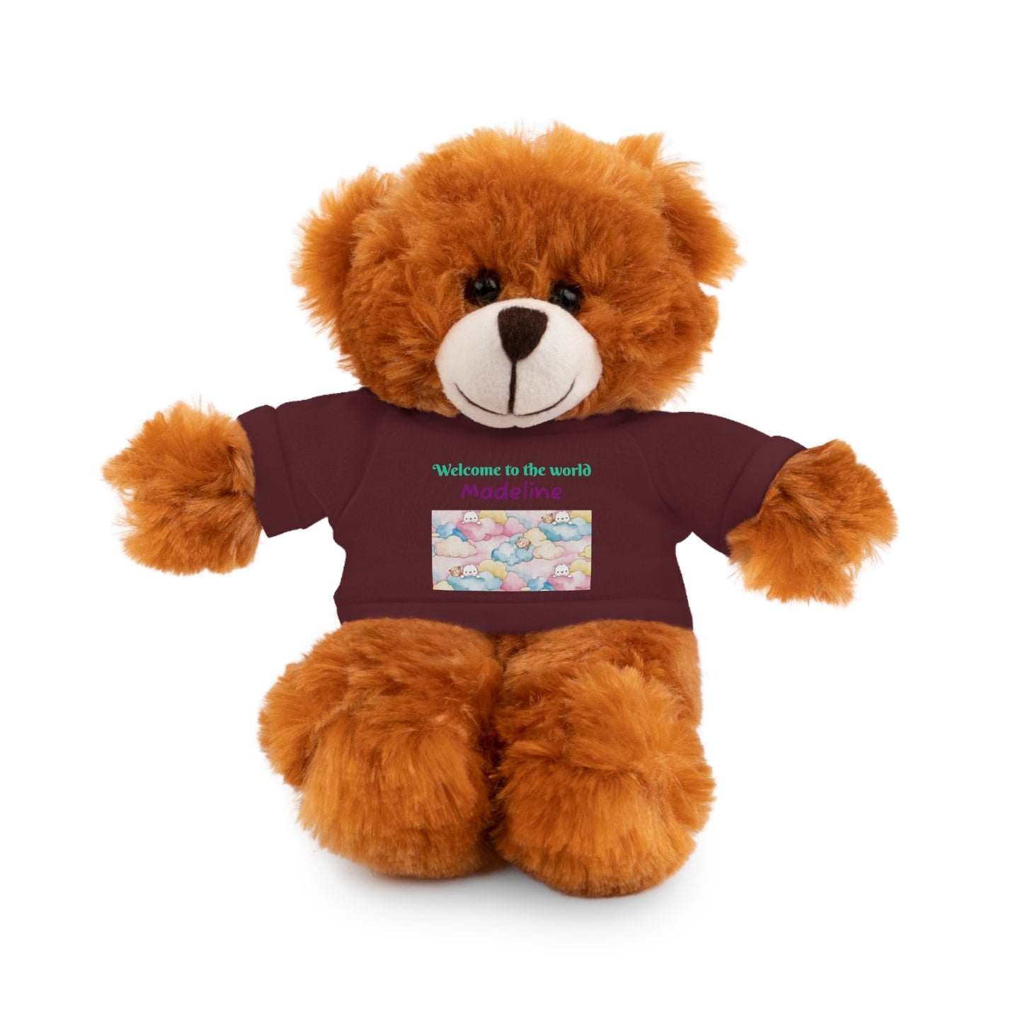 Welcome to the World Newborn Baby Teddy with 'Welcome to the world' Tee