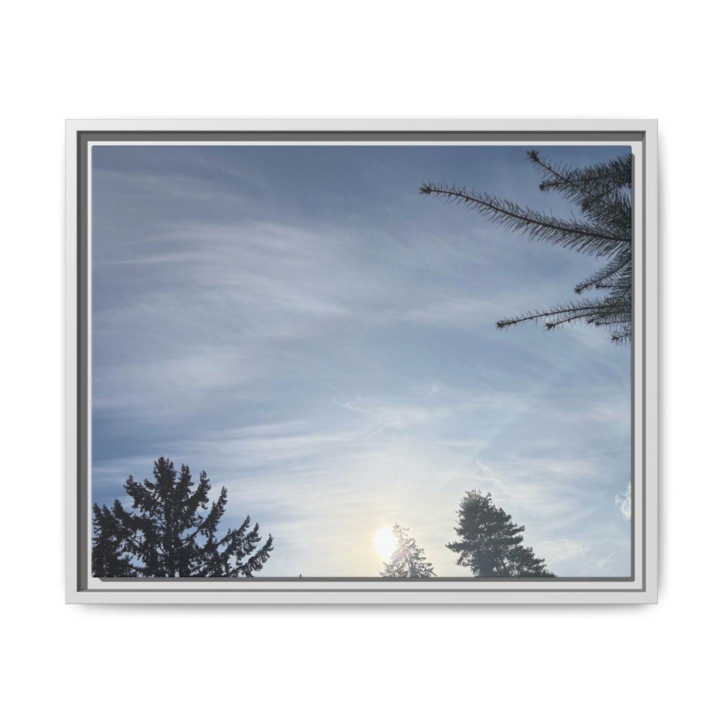 Framed Matte Canvas Wall Art — Winter Sky Tree Photograph
