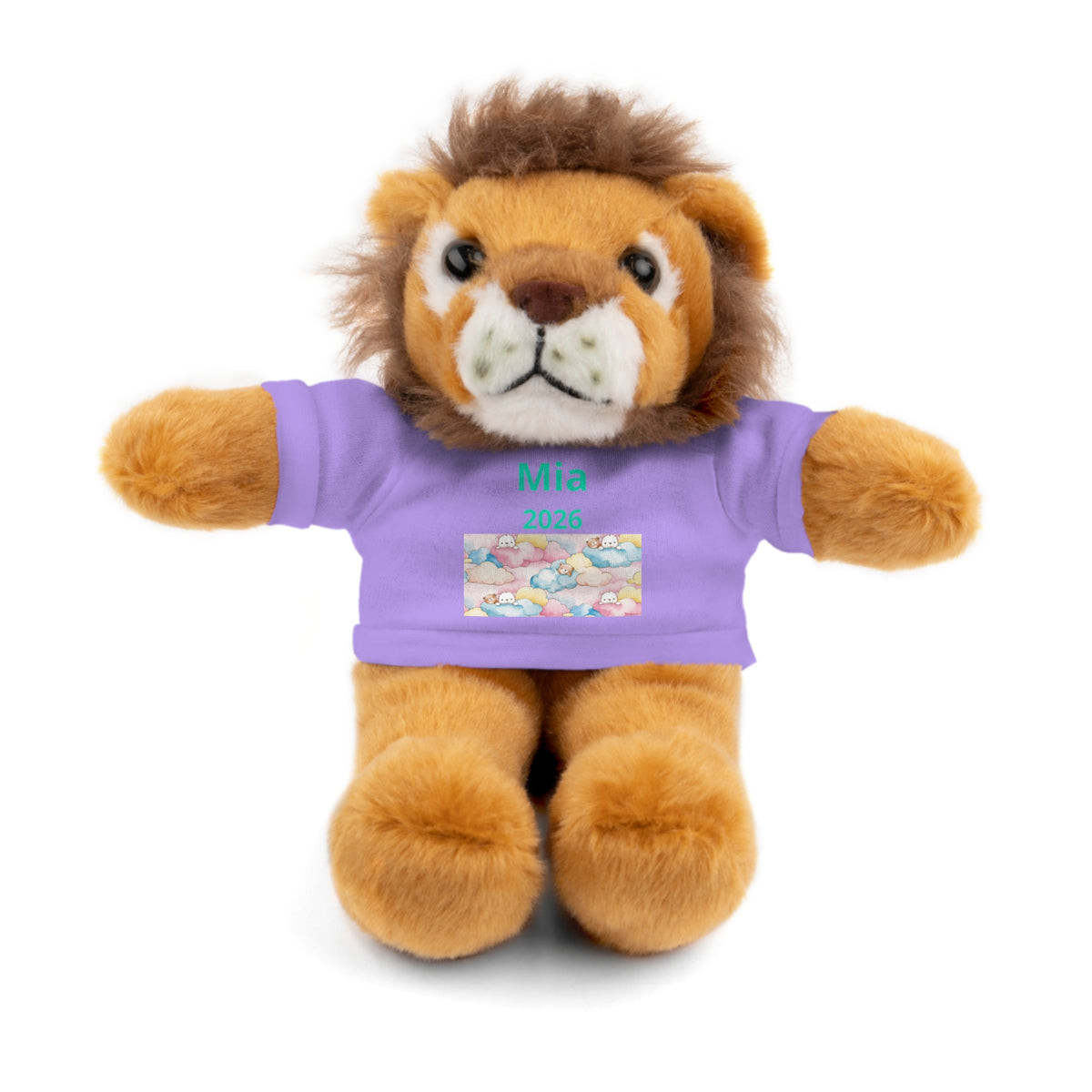 Personalized Plush Bear with Custom Tee — Cute Candy Print & Name