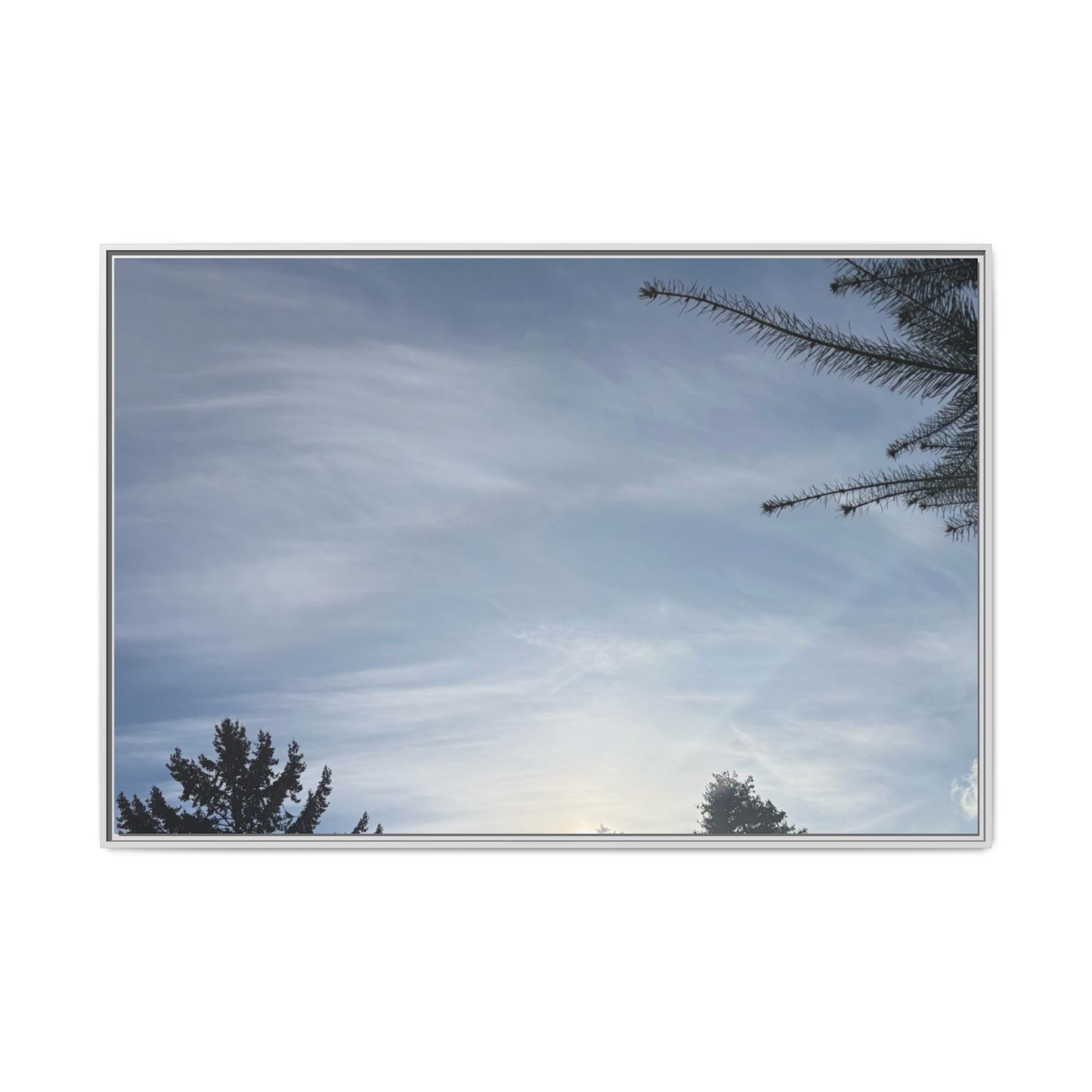 Framed Matte Canvas Wall Art — Winter Sky Tree Photograph
