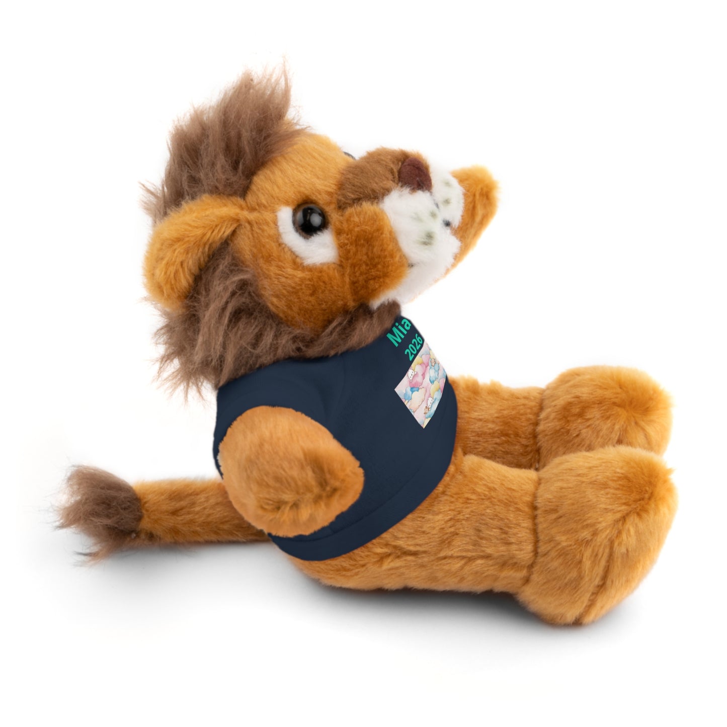 Personalized Plush Bear with Custom Tee — Cute Candy Print & Name