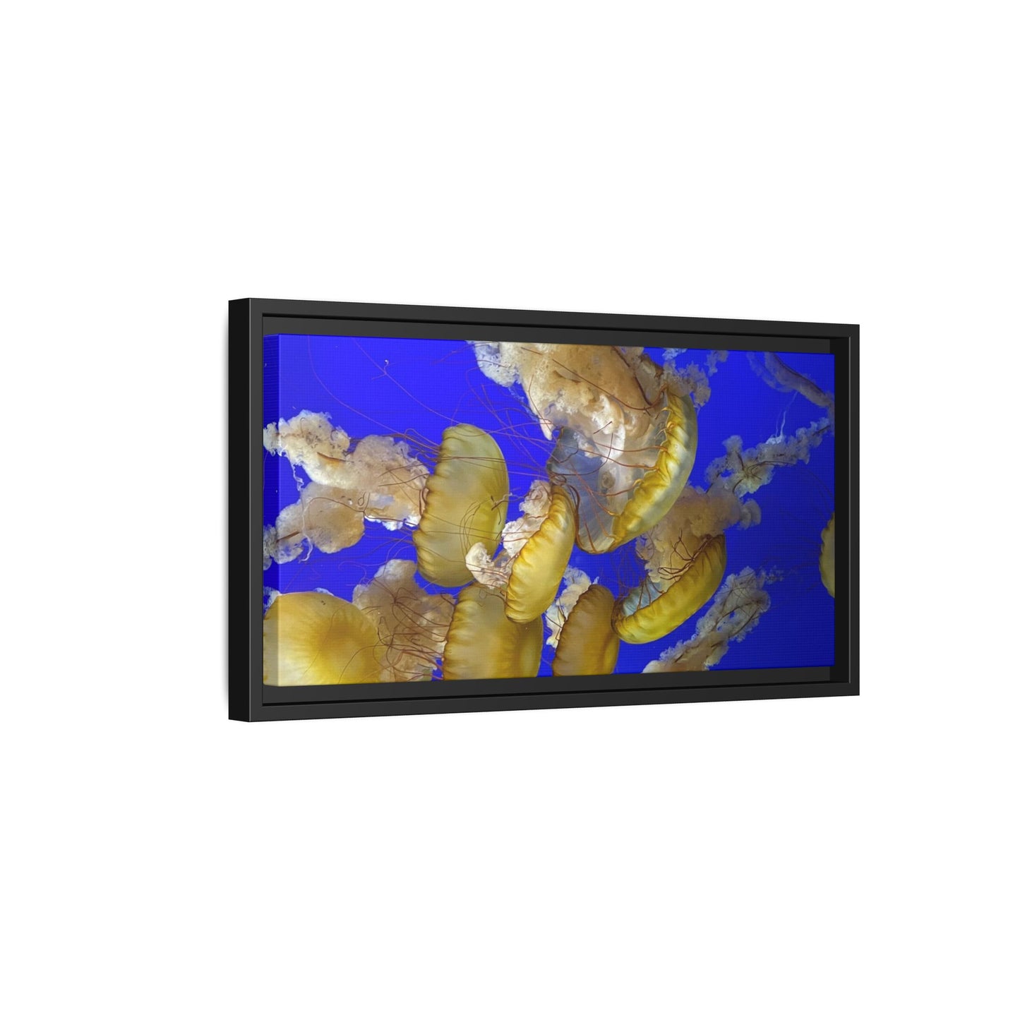 Canvas Wall Art - Jellyfish Theme