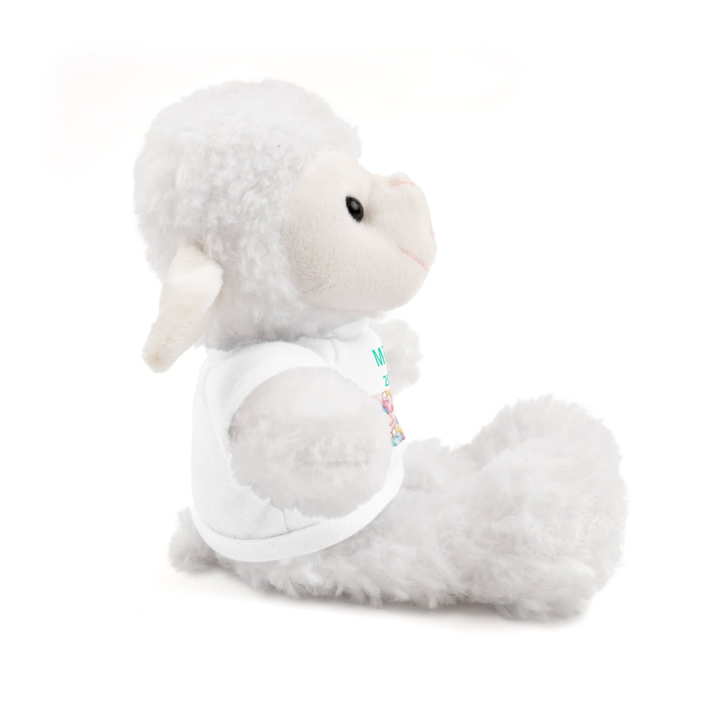 Personalized Plush Bear with Custom Tee — Cute Candy Print & Name