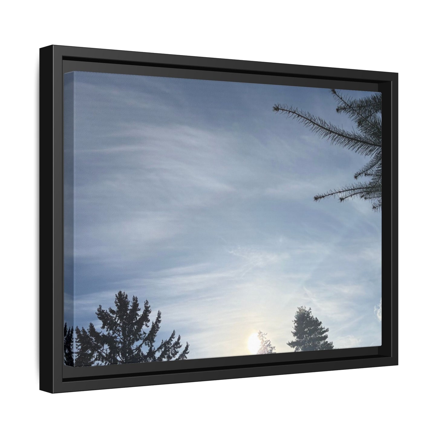 Framed Matte Canvas Wall Art — Winter Sky Tree Photograph