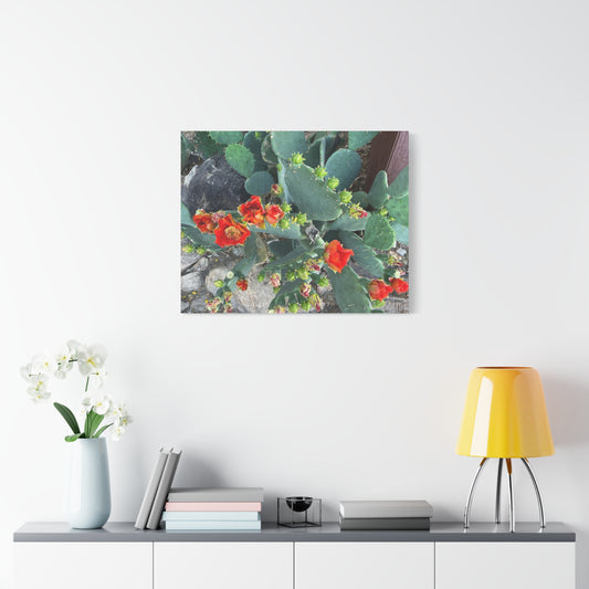 Canvas Print - Cactus Theme