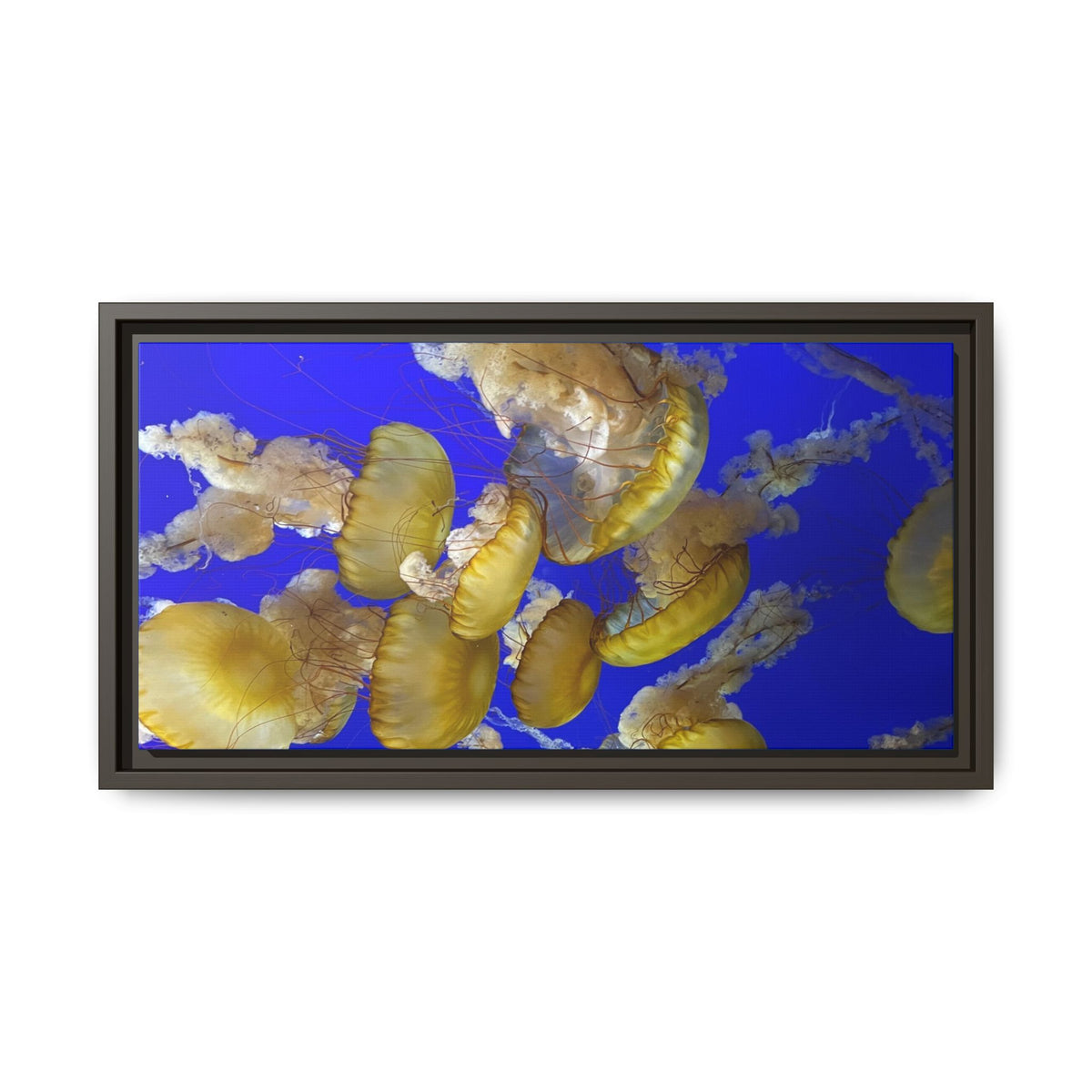 Framed Jellyfish Canvas Print — Golden Jellyfish on Deep Blue Matte