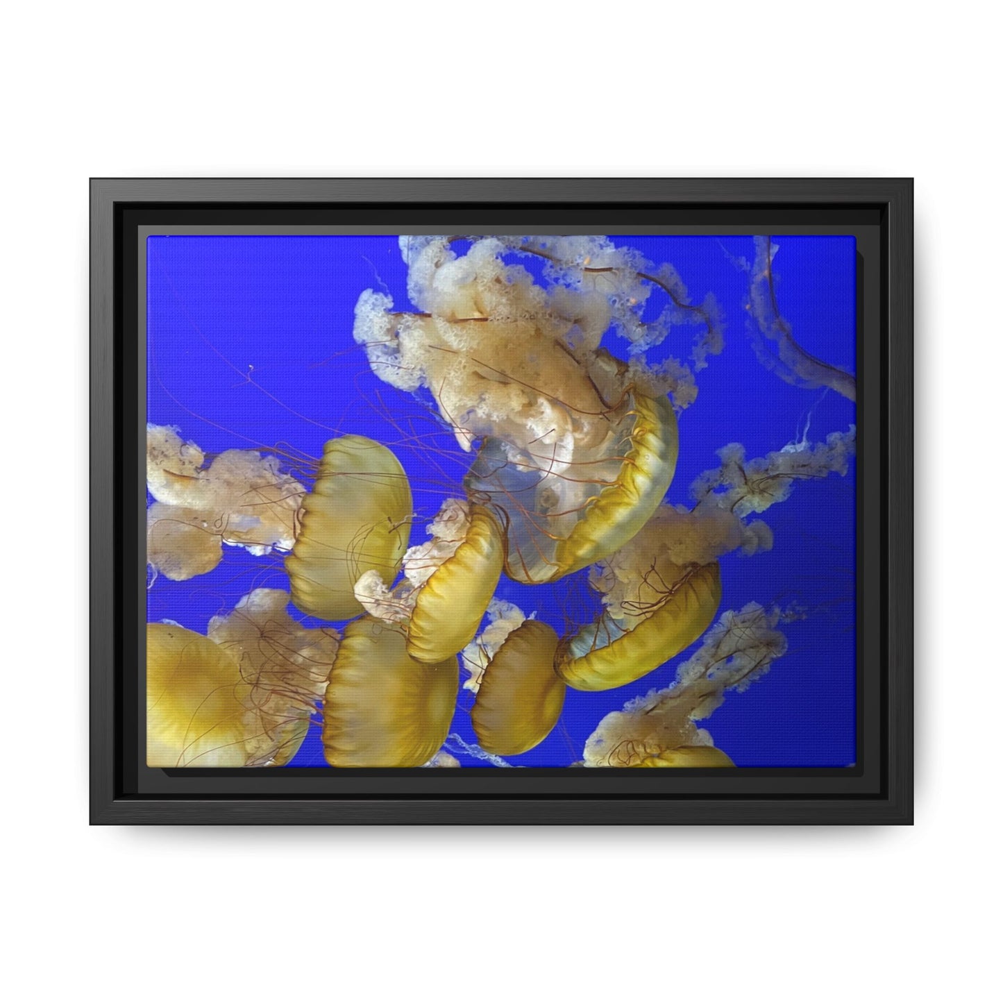 Canvas Wall Art - Jellyfish Theme