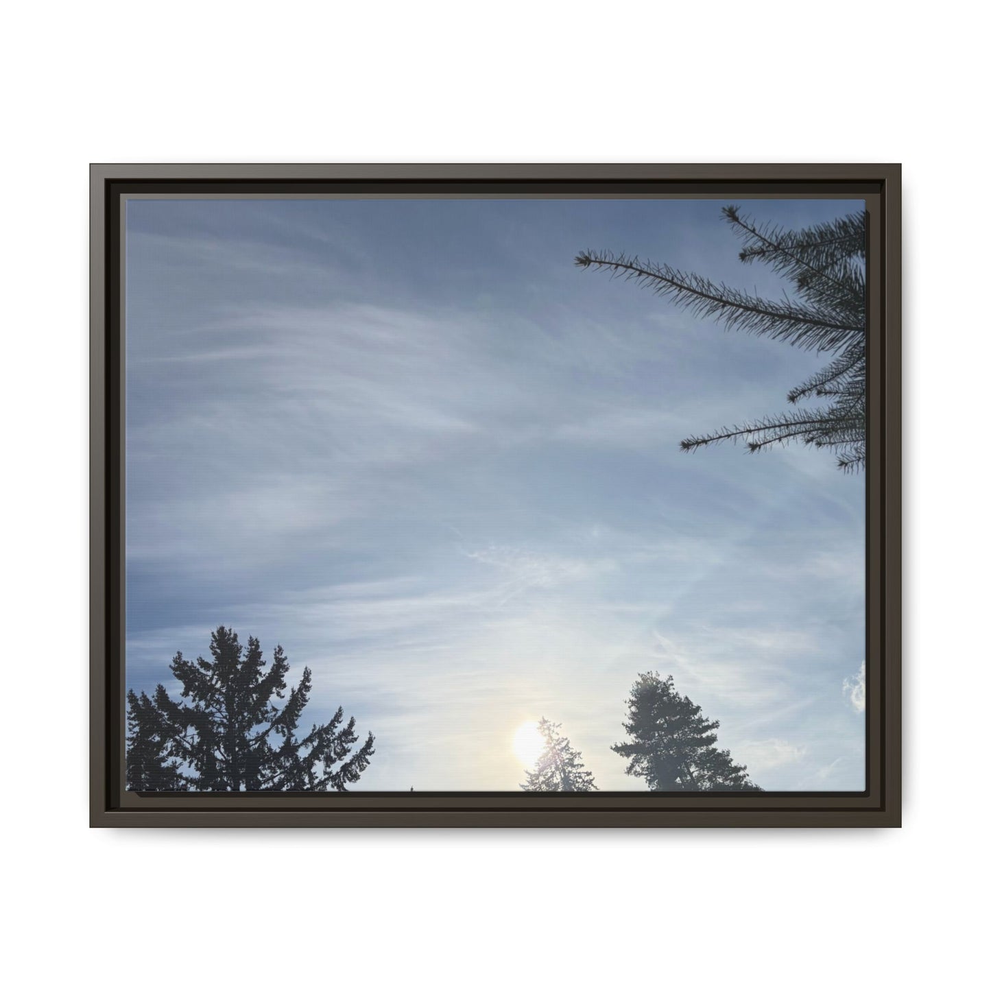 Framed Matte Canvas Wall Art — Winter Sky Tree Photograph