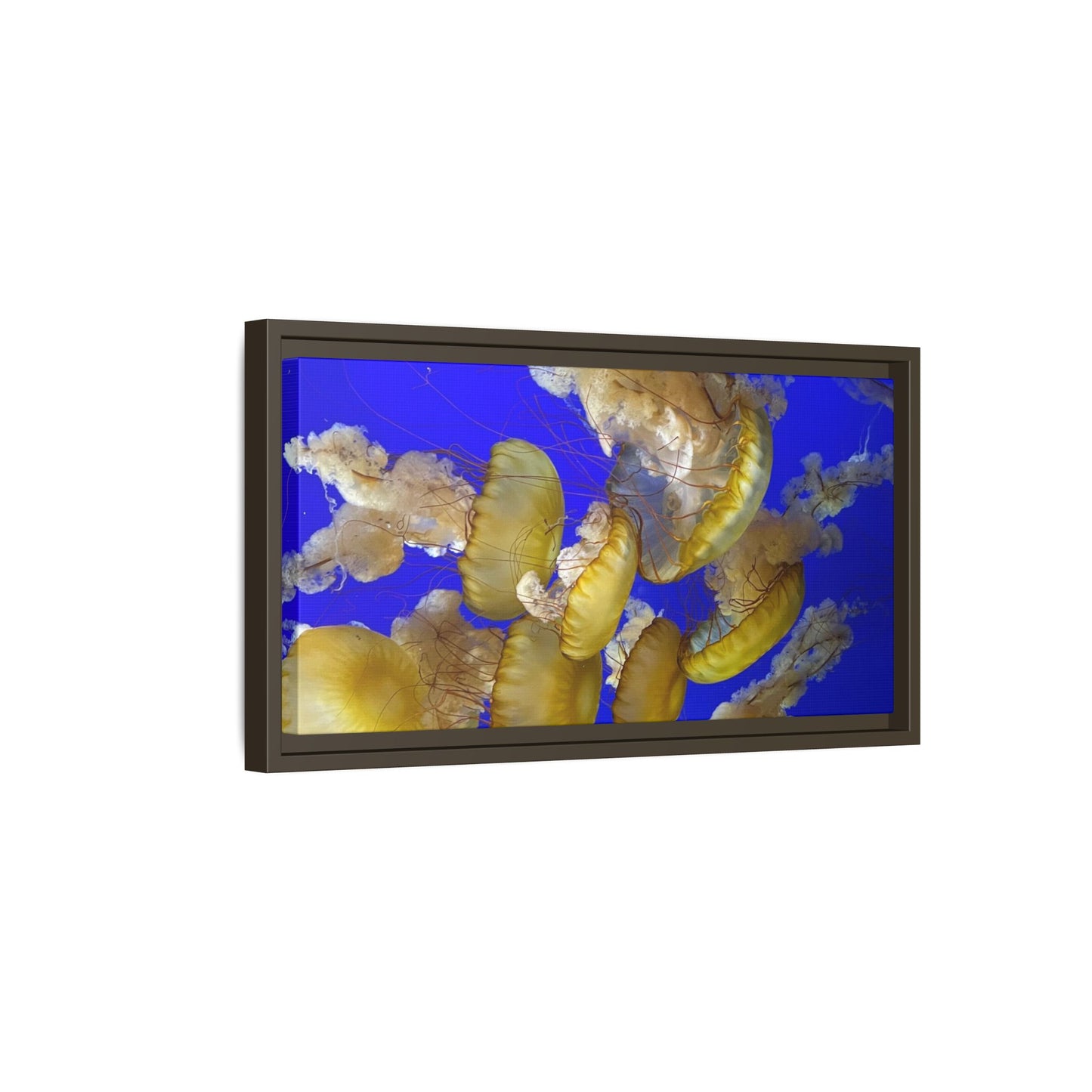 Canvas Wall Art - Jellyfish Theme
