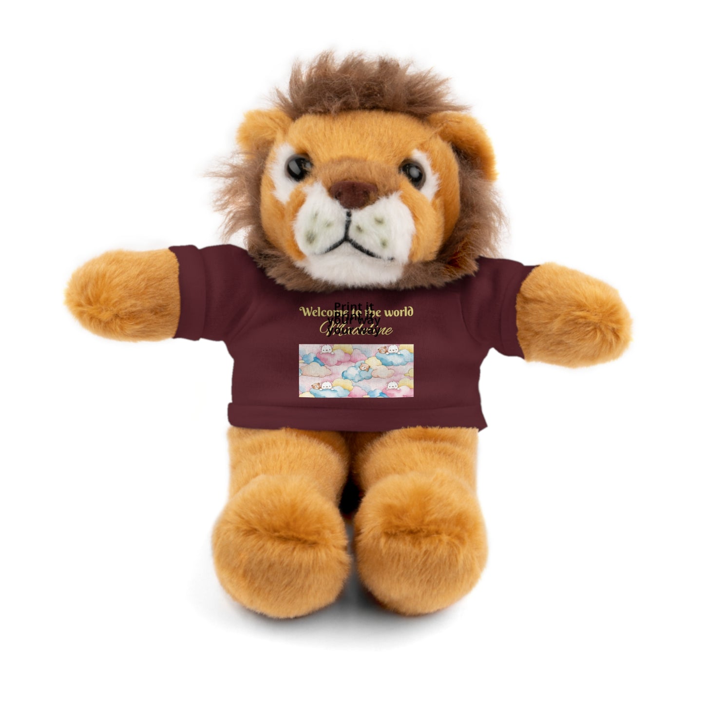 Welcome to the World Newborn Baby Teddy with 'Welcome to the world' Tee