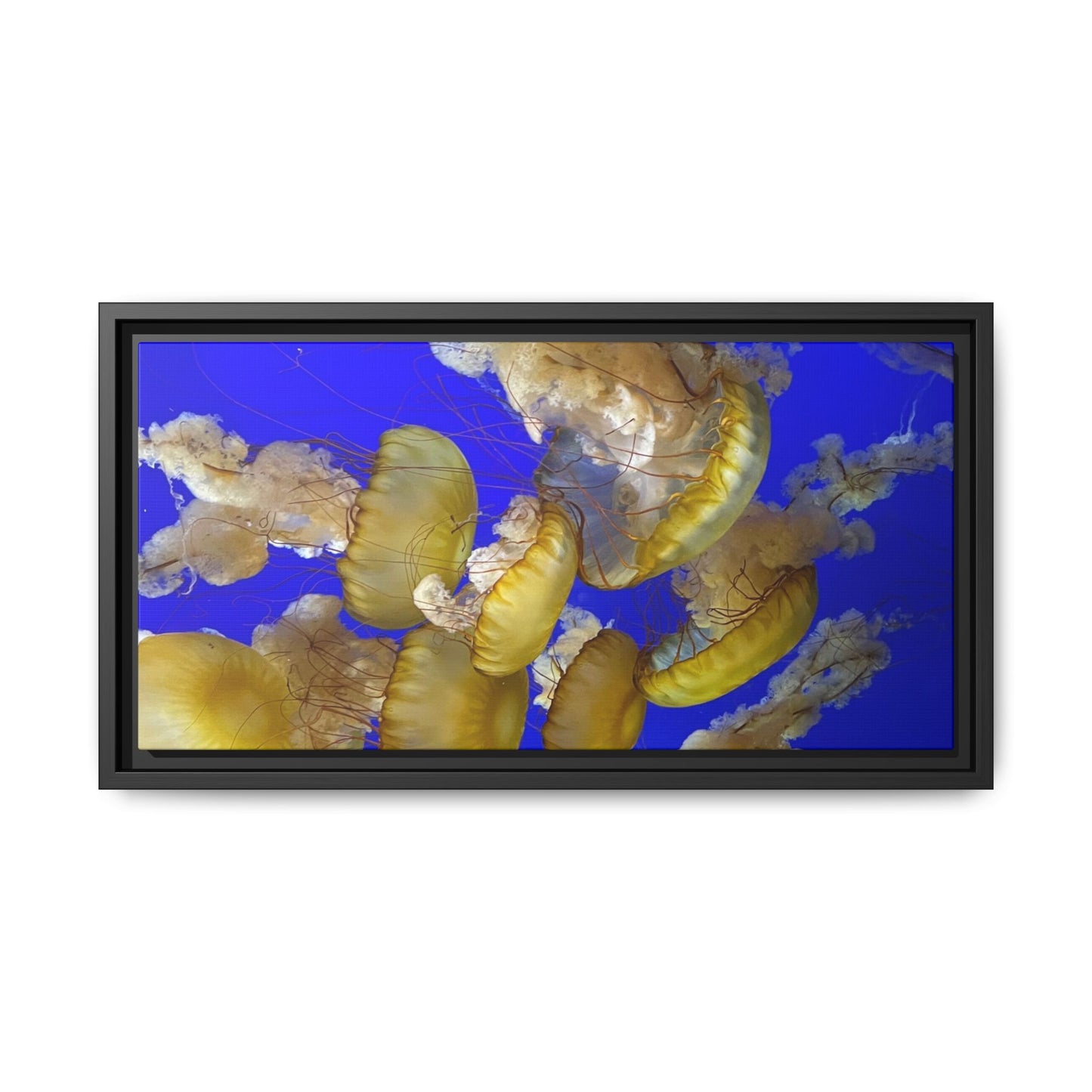 Canvas Wall Art - Jellyfish Theme