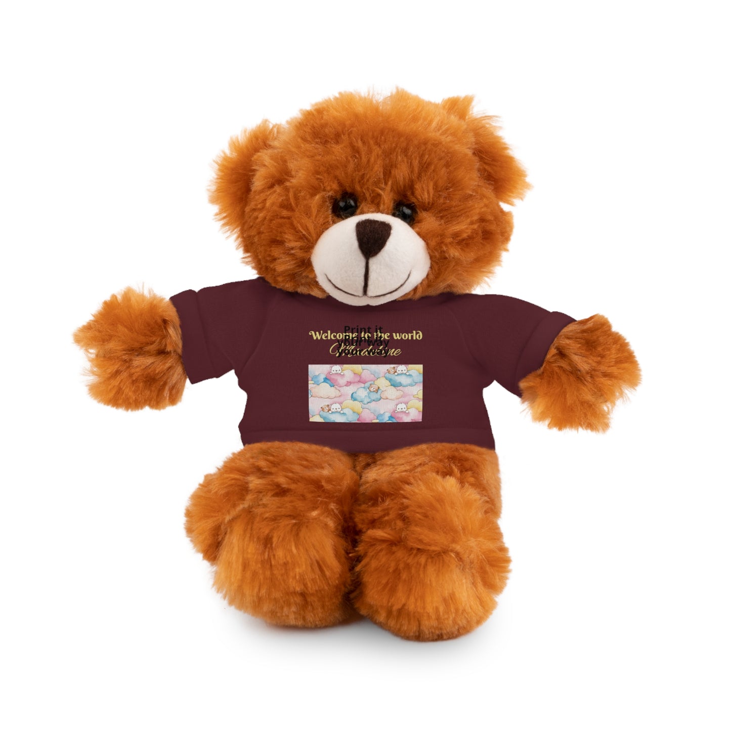 Welcome to the World Newborn Baby Teddy with 'Welcome to the world' Tee