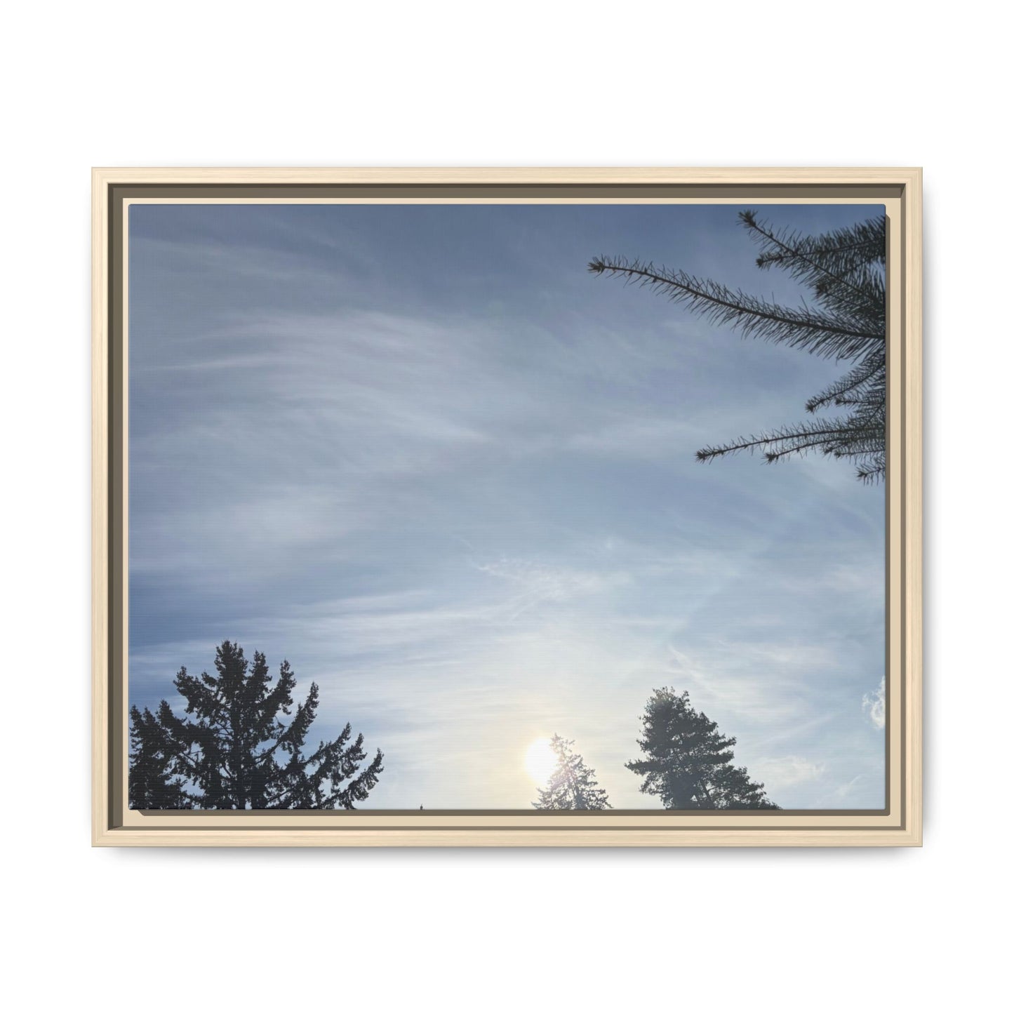 Framed Matte Canvas Wall Art — Winter Sky Tree Photograph