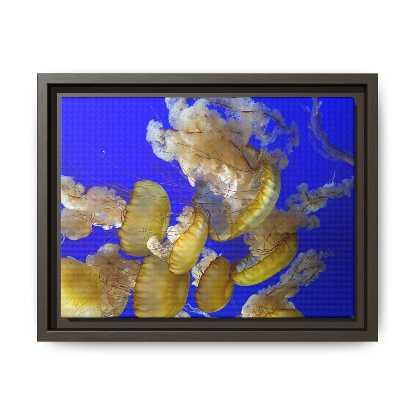 Canvas Wall Art - Jellyfish Theme
