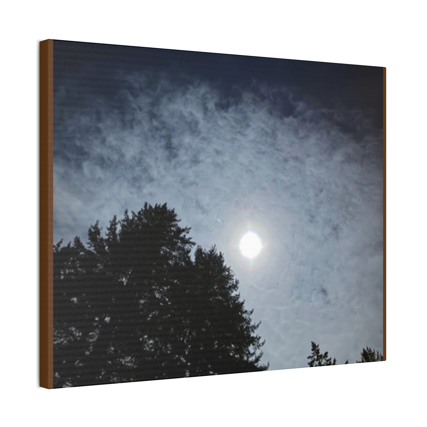 Ethereal Moon Over Trees Canvas Wall Art — Night Sky Photography