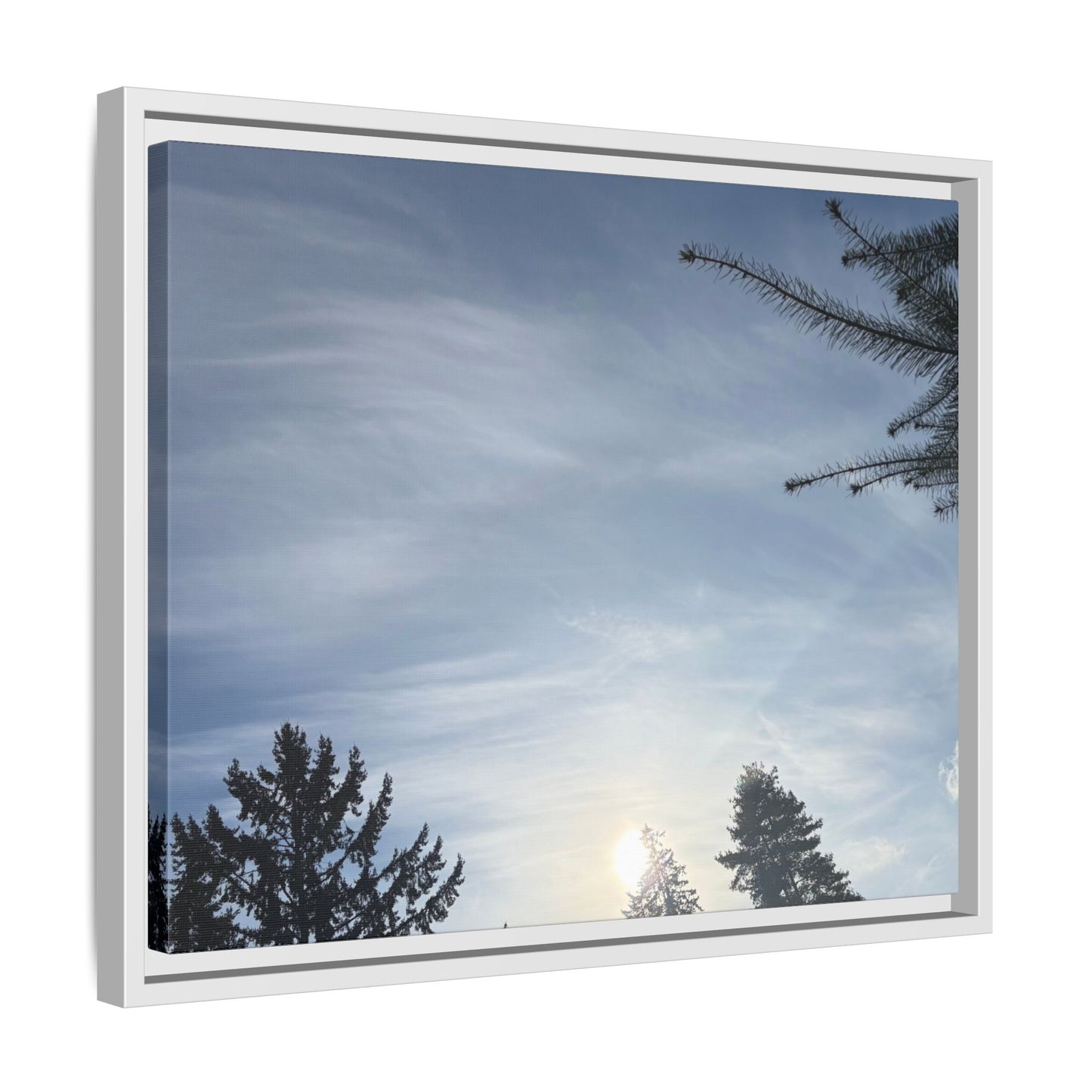 Framed Matte Canvas Wall Art — Winter Sky Tree Photograph