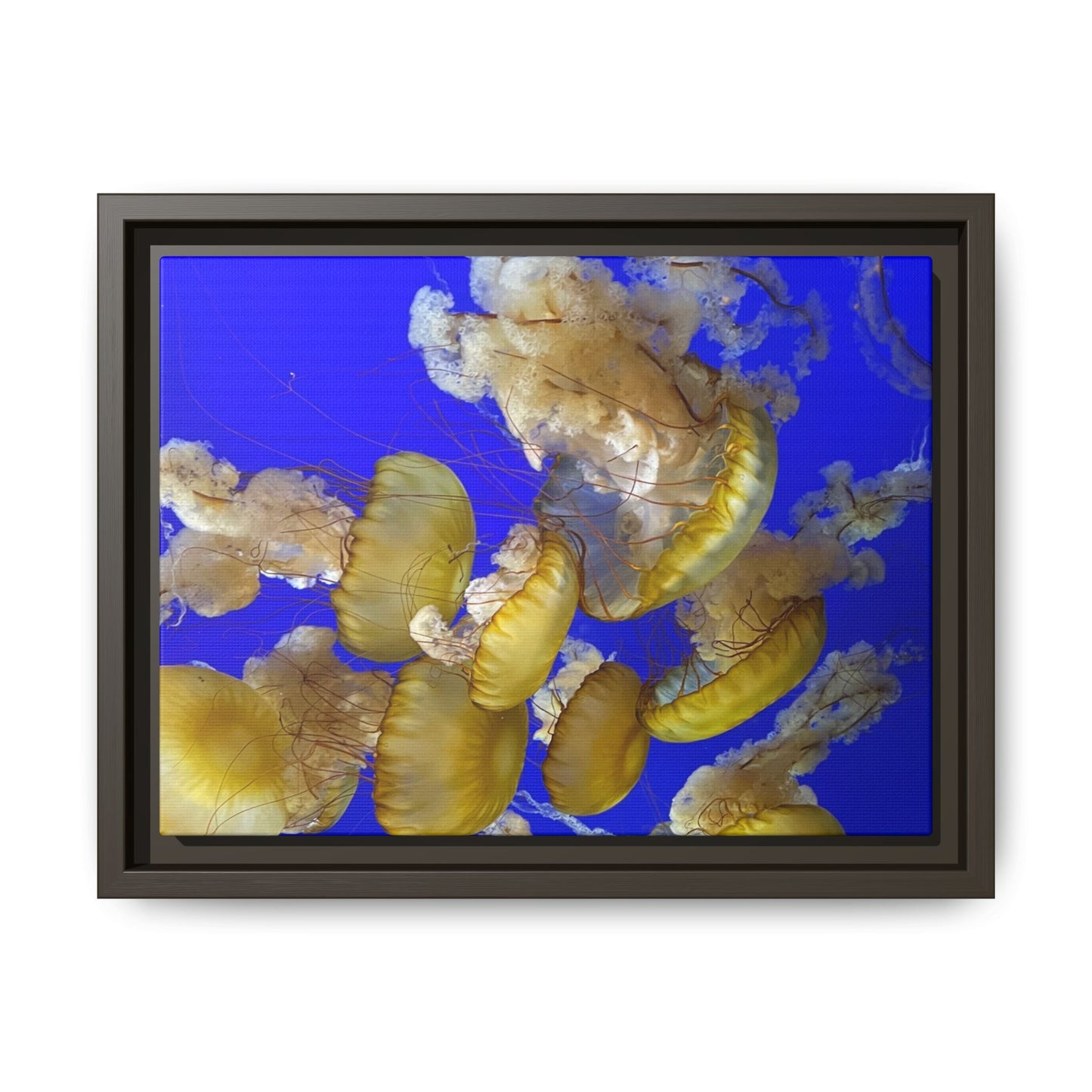 Canvas Wall Art - Jellyfish Theme