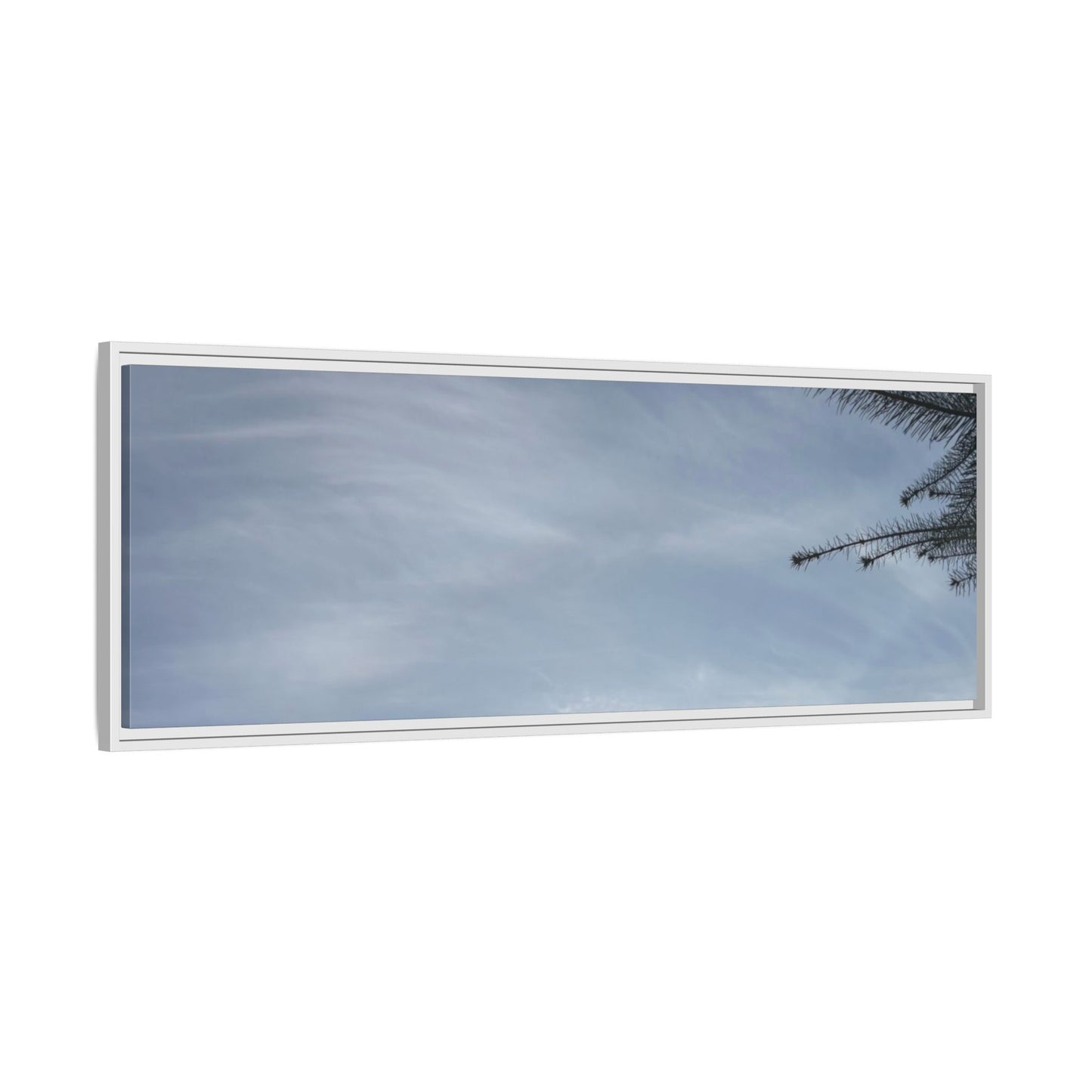 Framed Matte Canvas Wall Art — Winter Sky Tree Photograph
