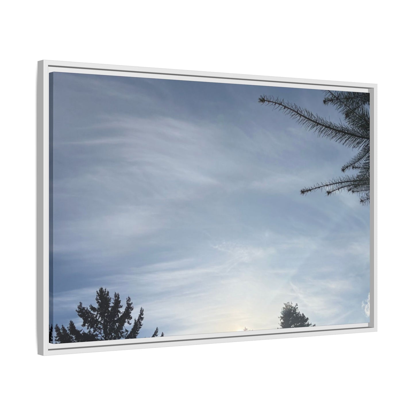 Framed Matte Canvas Wall Art — Winter Sky Tree Photograph
