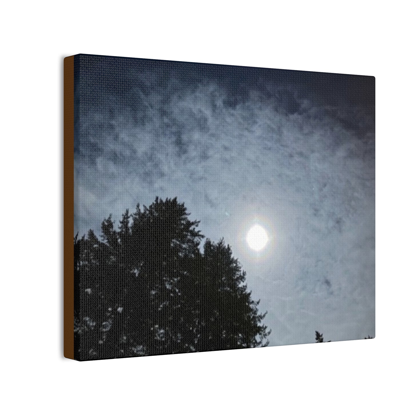Ethereal Moon Over Trees Canvas Wall Art — Night Sky Photography