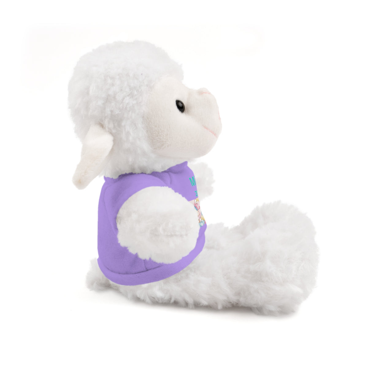 Personalized Plush Bear with Custom Tee — Cute Candy Print & Name