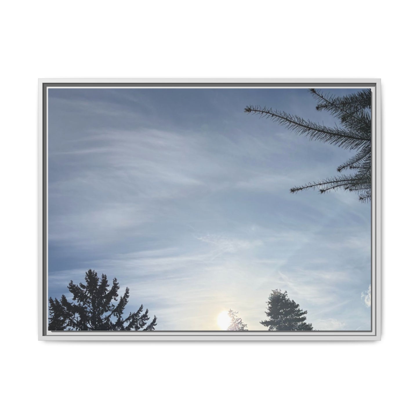 Framed Matte Canvas Wall Art — Winter Sky Tree Photograph